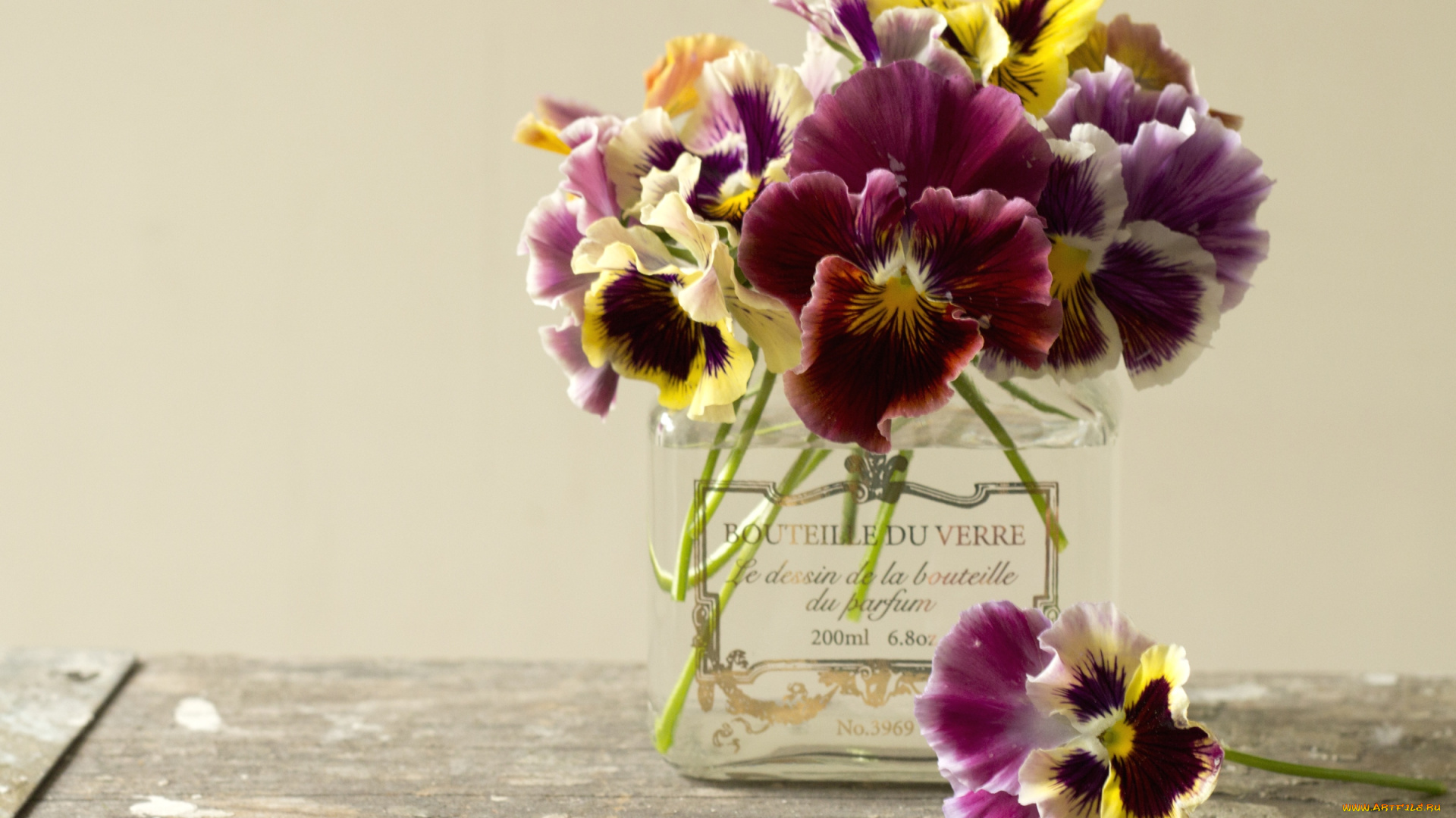 цветы, анютины, глазки, садовые, фиалки, виола, пестрый