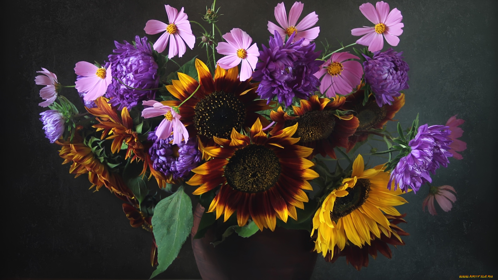 цветы, букеты, композиции, космея, подсолнухи, астры