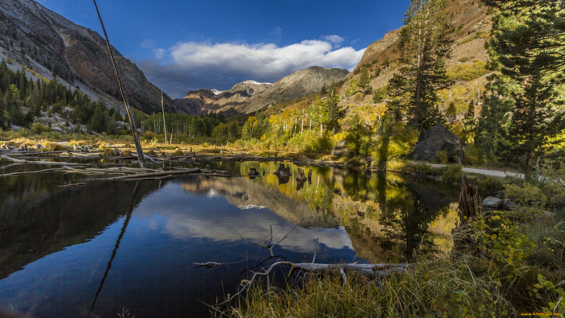 природа, реки, озера, пейзаж