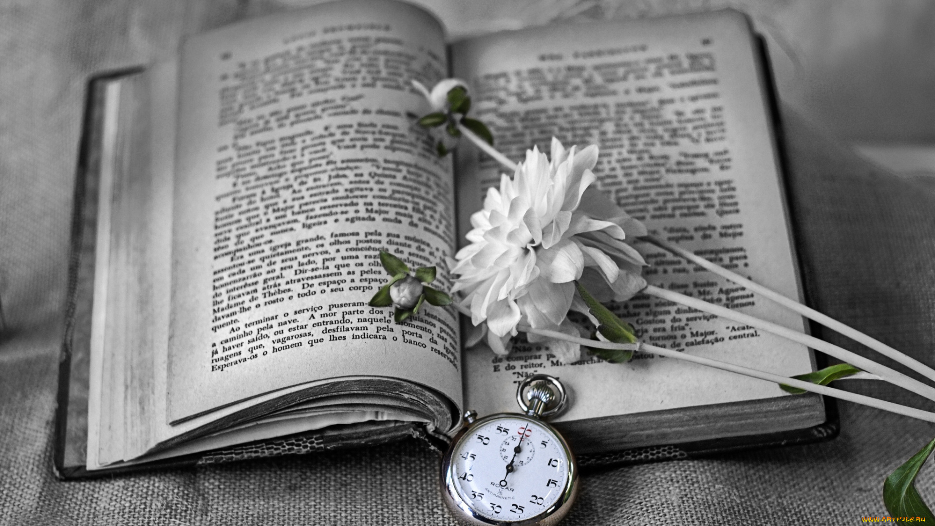 разное, канцелярия, книги, книга, секундомер, цветок