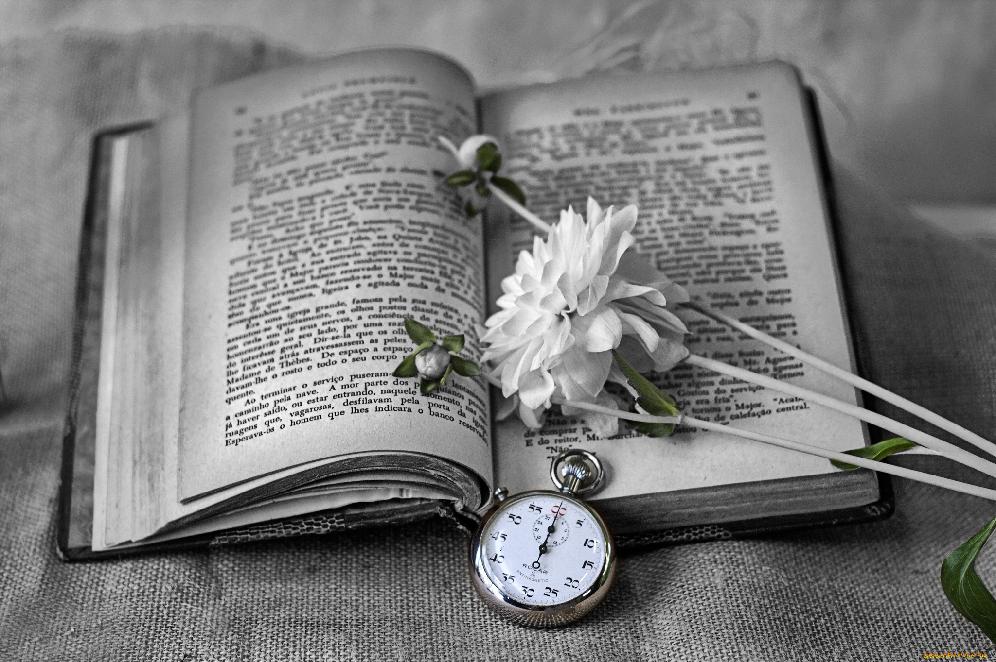 разное, канцелярия, книги, книга, секундомер, цветок