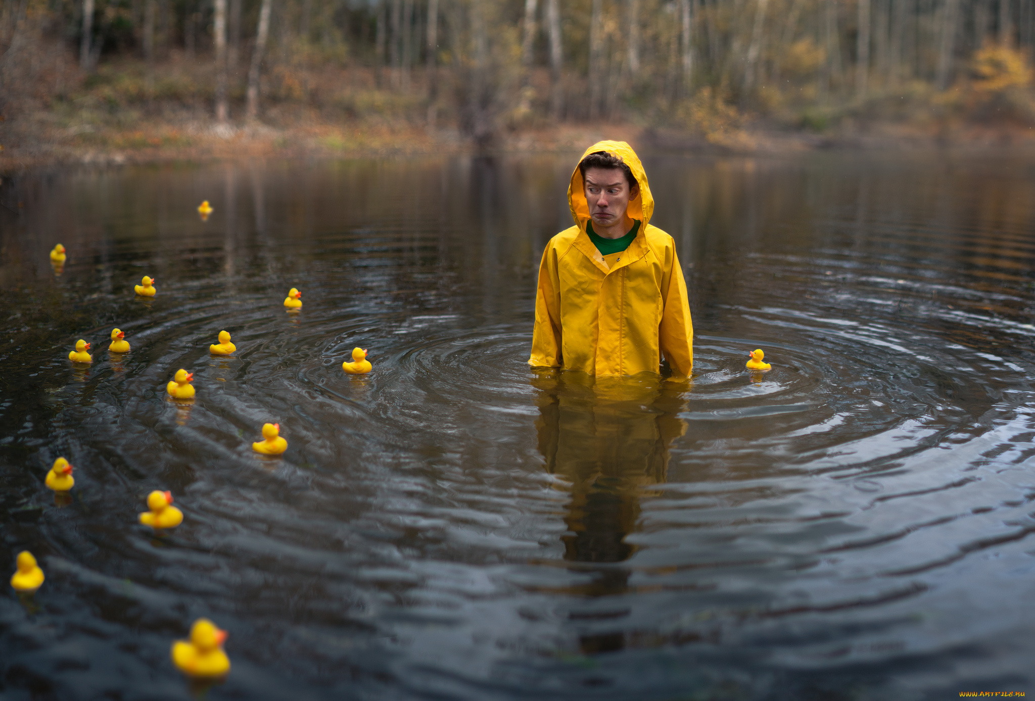 юмор, приколы, парень, уточки, плащ, вода