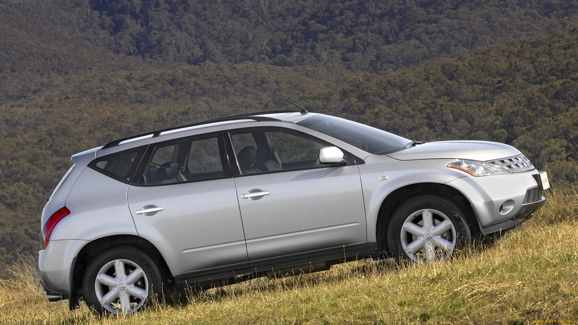 автомобили, nissan, datsun, серый, z50, au-spec, murano