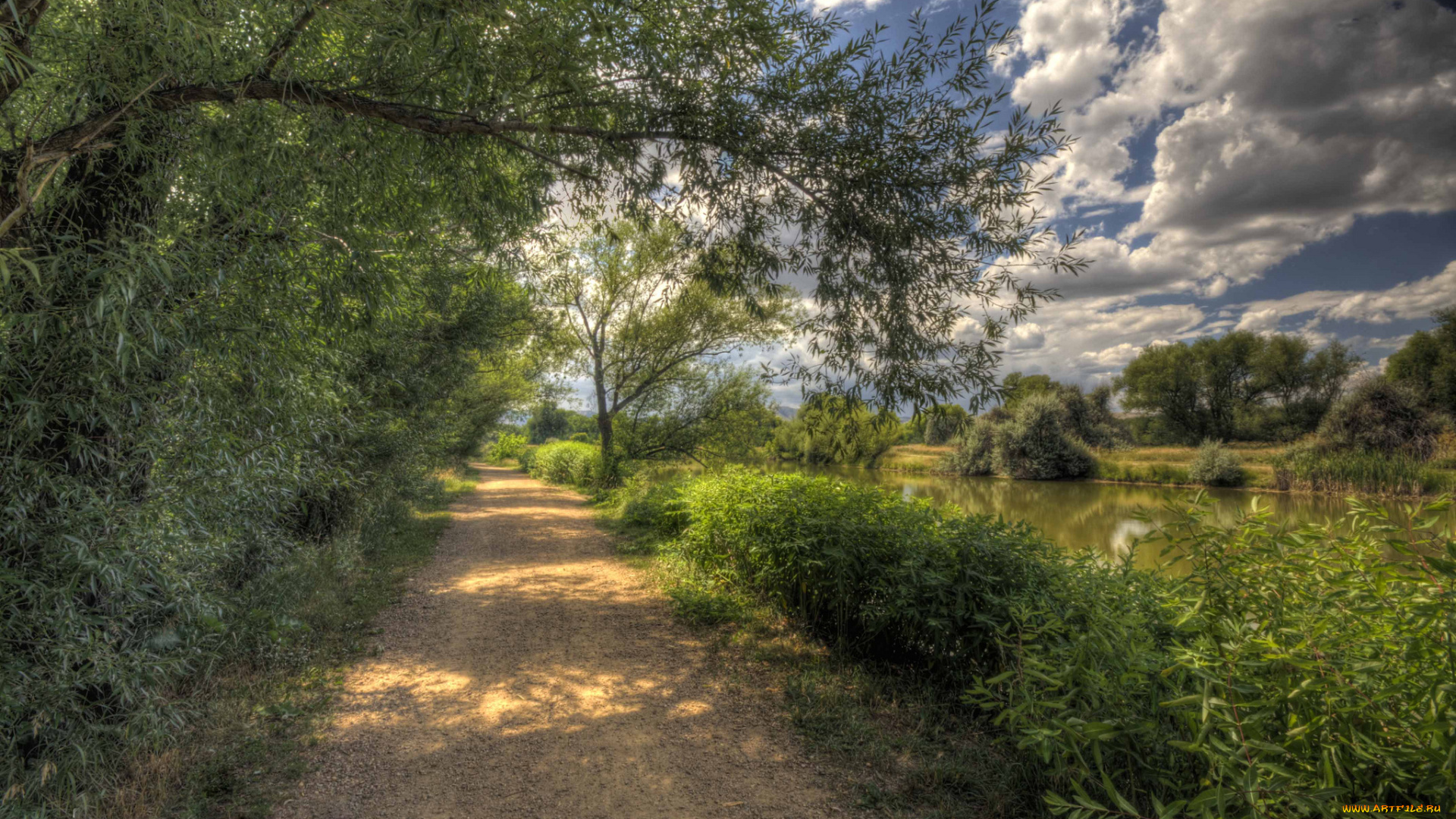 природа, дороги, дорожка, лес, река