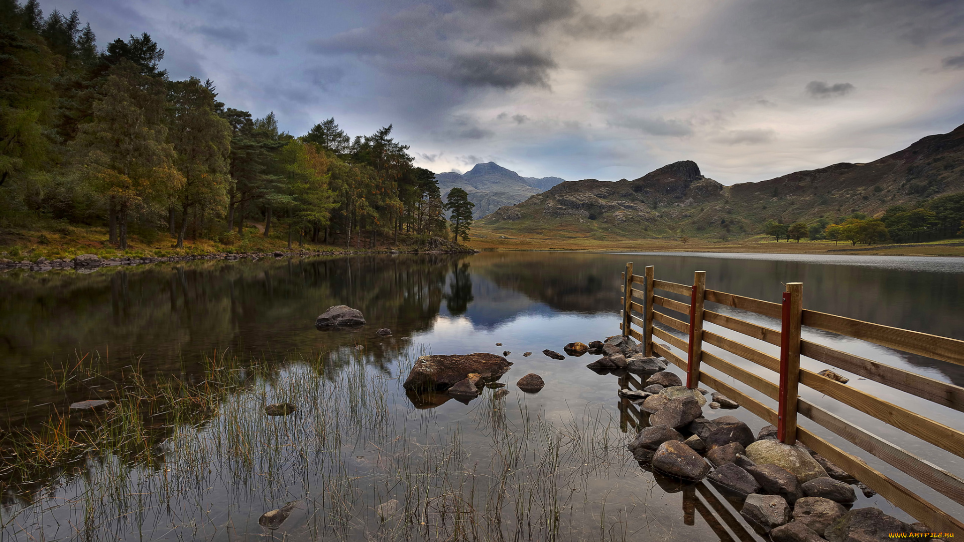 природа, реки, озера, река, лес, горы