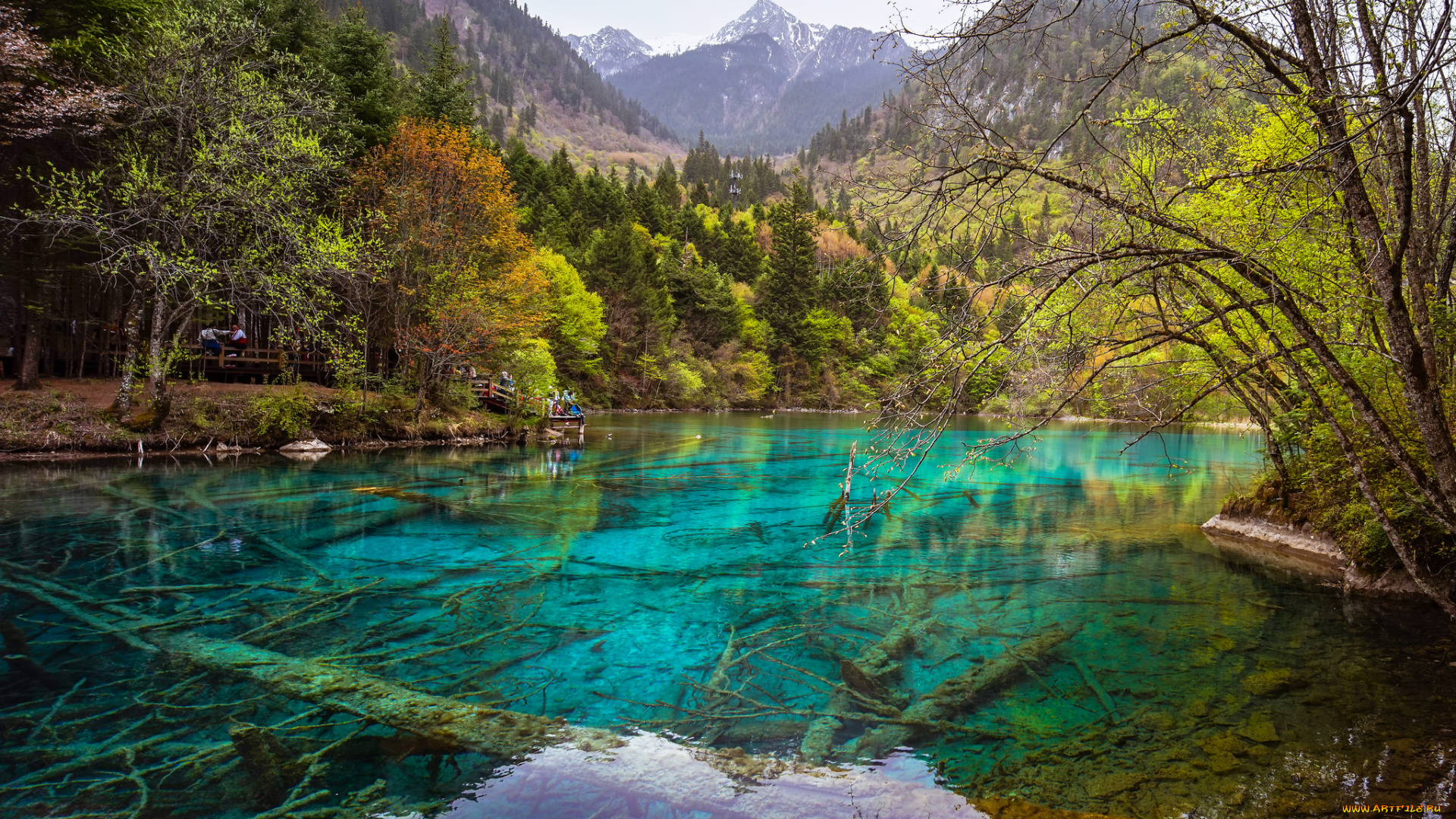 природа, реки, озера, река, лес, горы