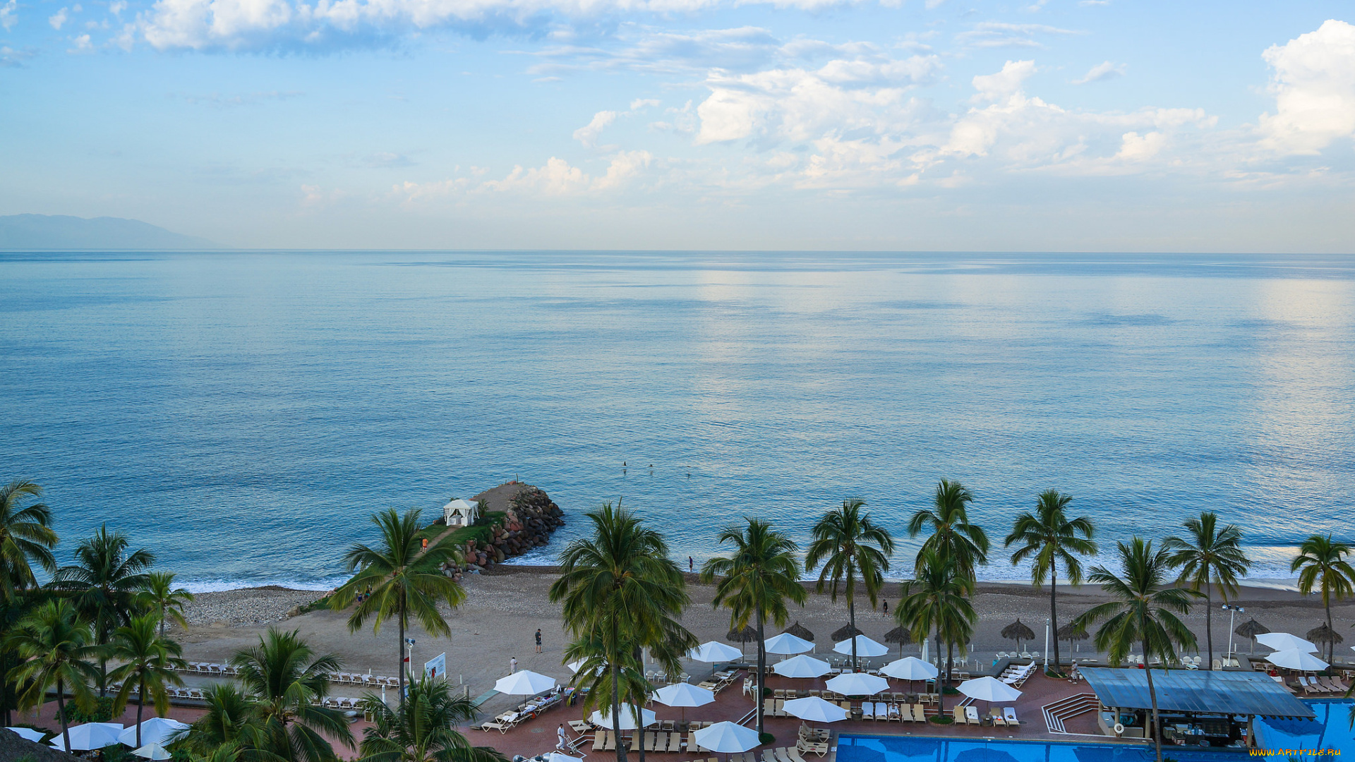 природа, тропики, океан, пальмы