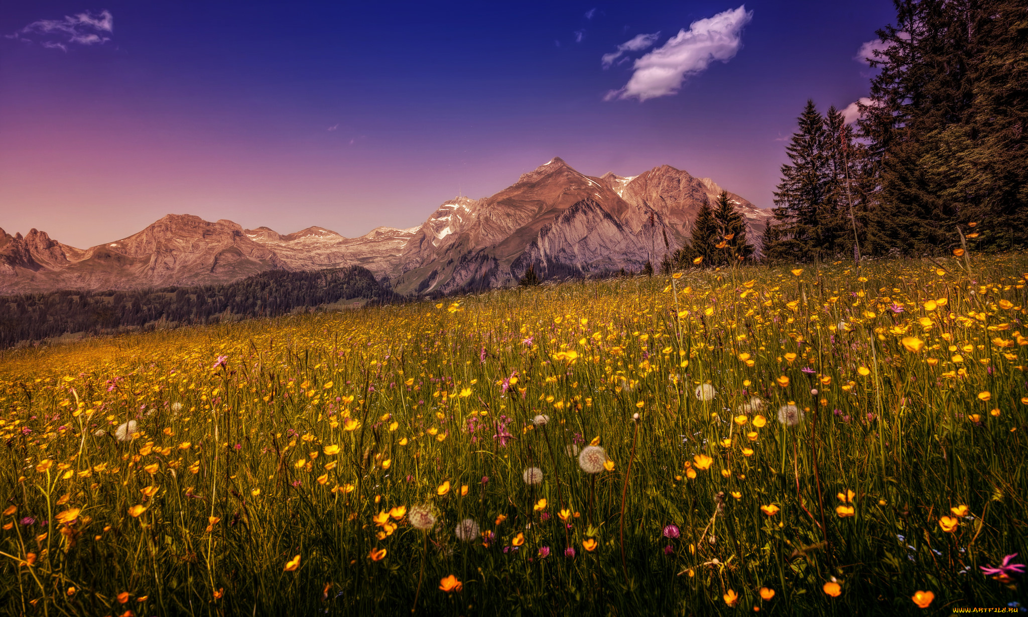 природа, луга, цветы, трава, равнина, горы
