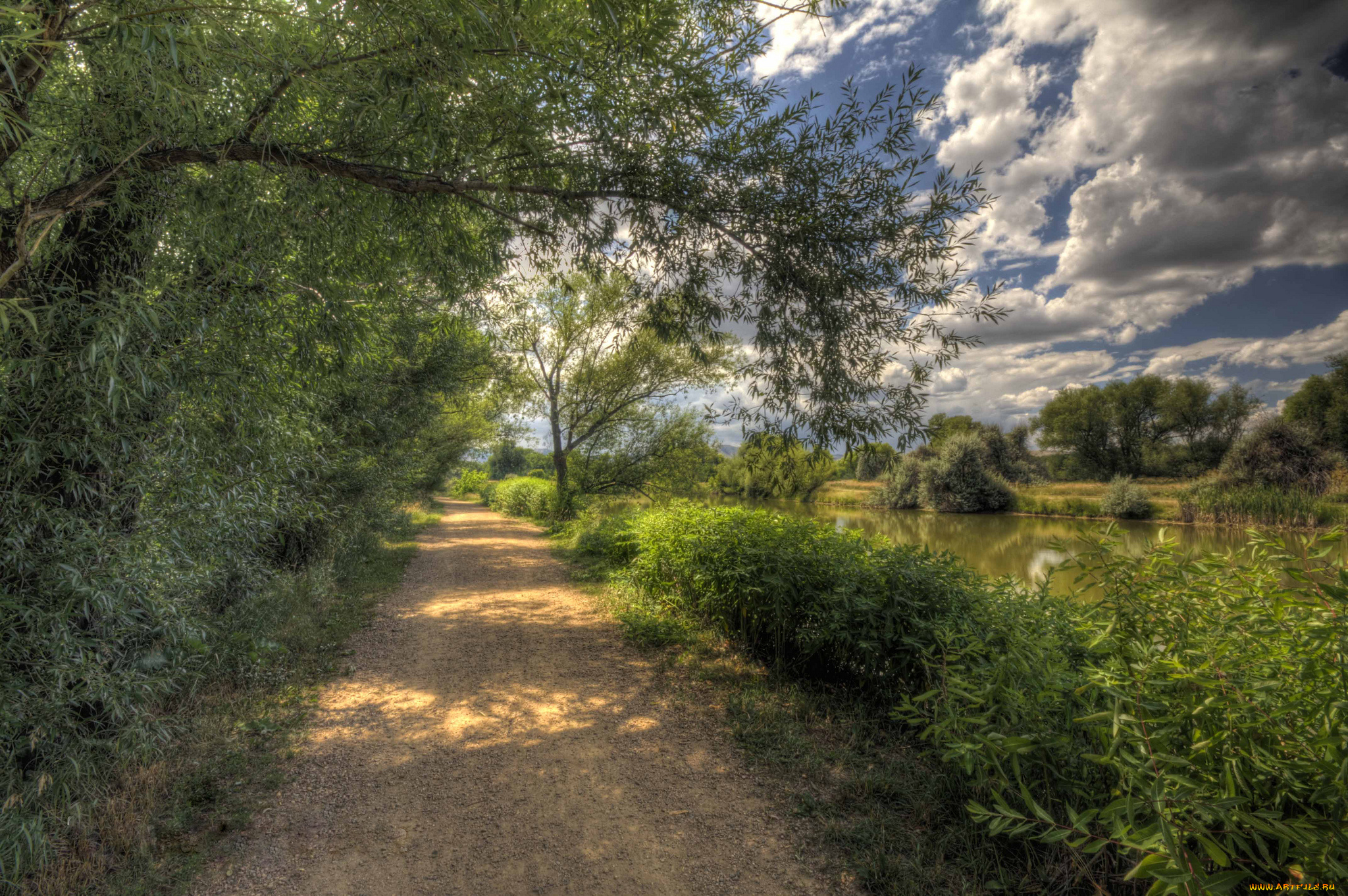 природа, дороги, дорожка, лес, река