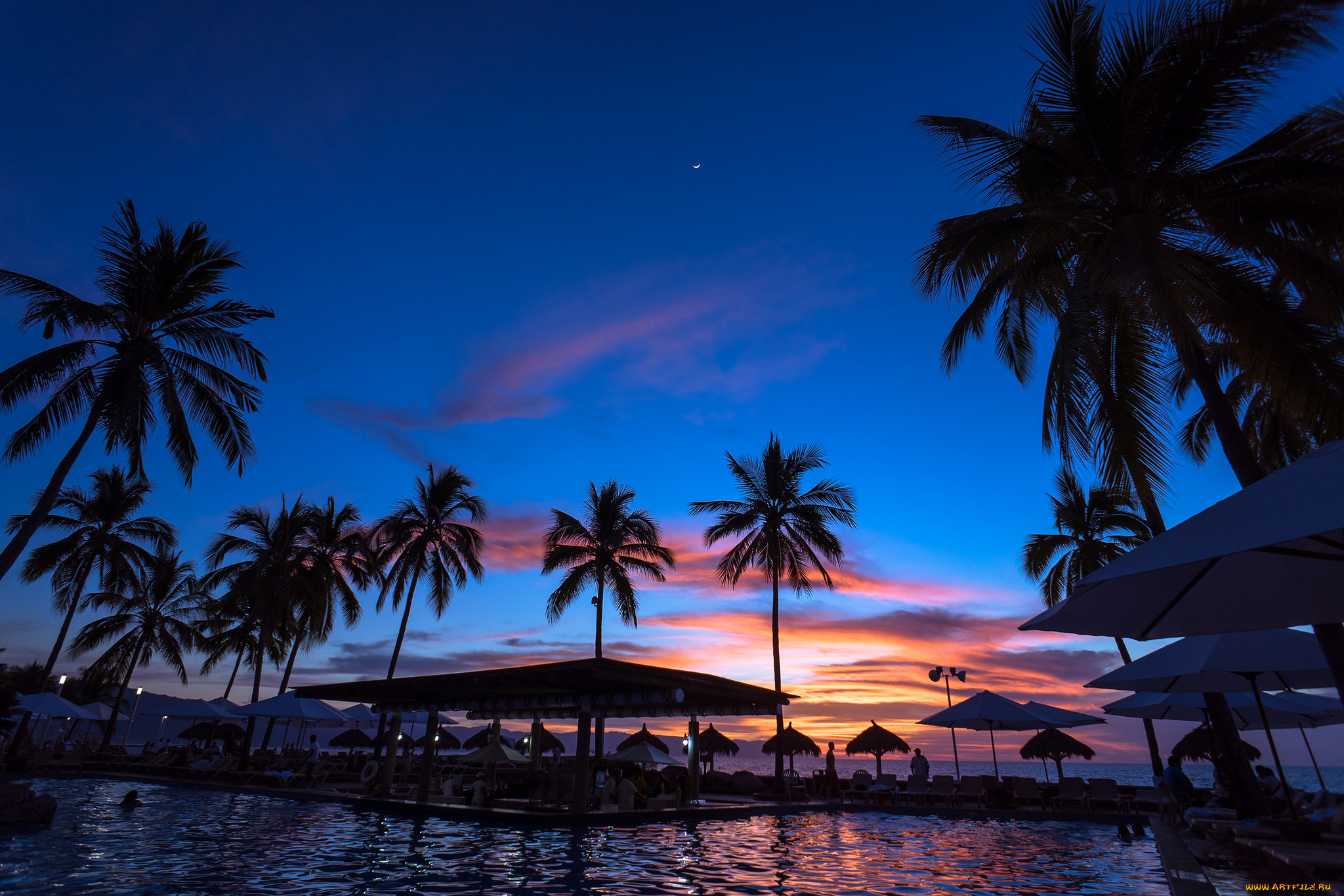 природа, тропики, пальмы, океан