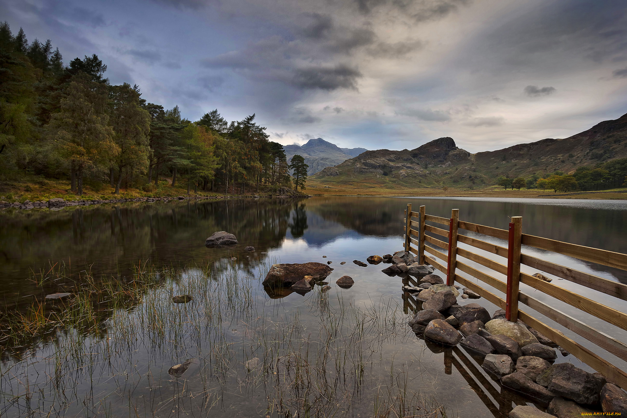 природа, реки, озера, река, лес, горы