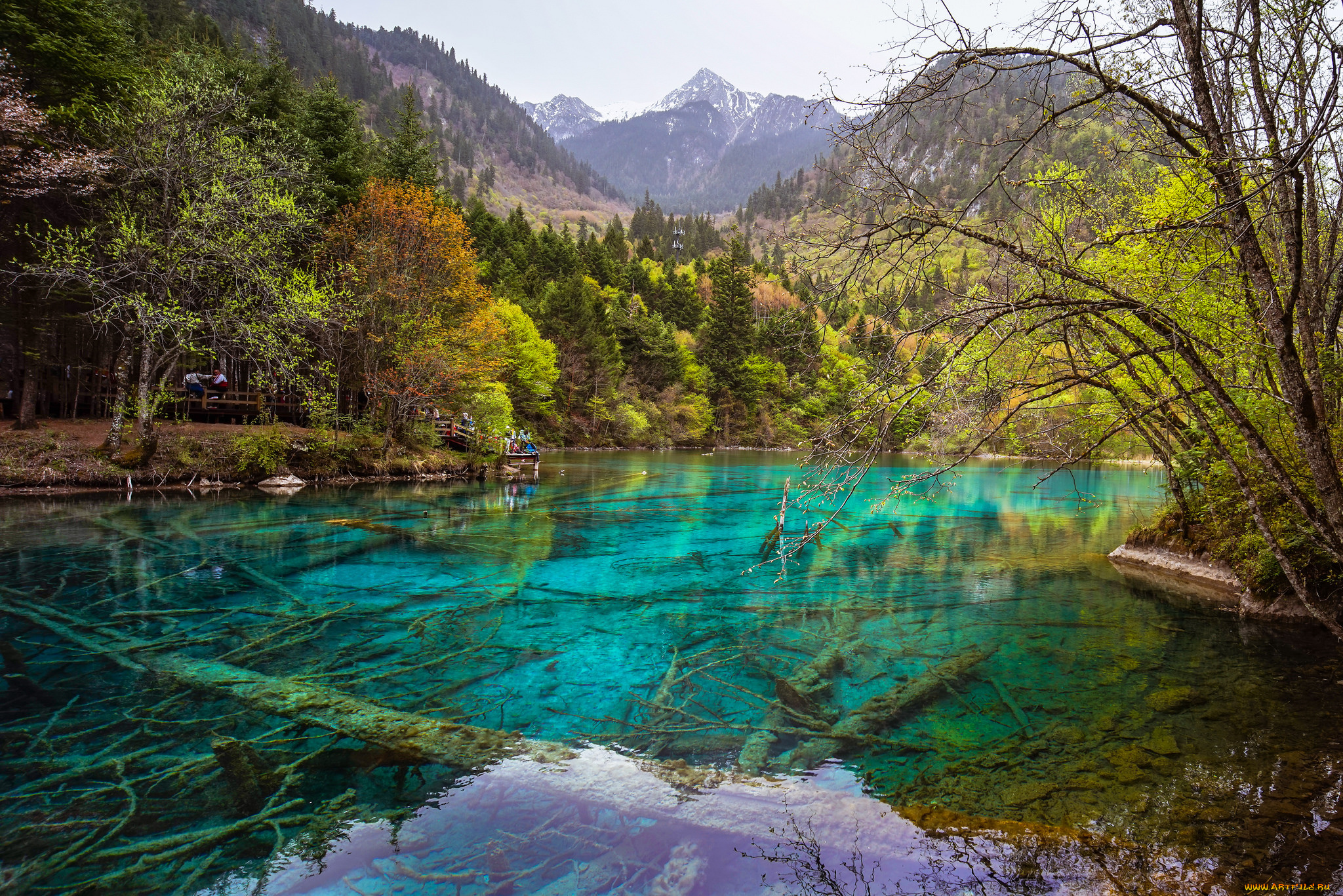 природа, реки, озера, река, лес, горы