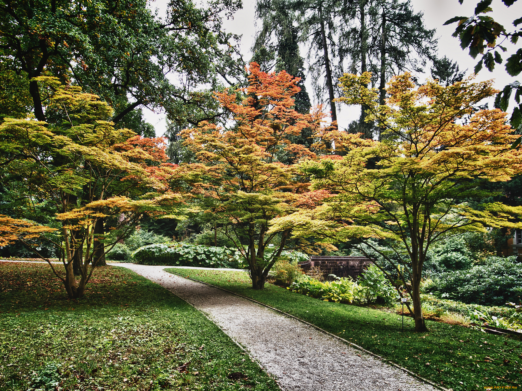 природа, парк, аллея, деревья