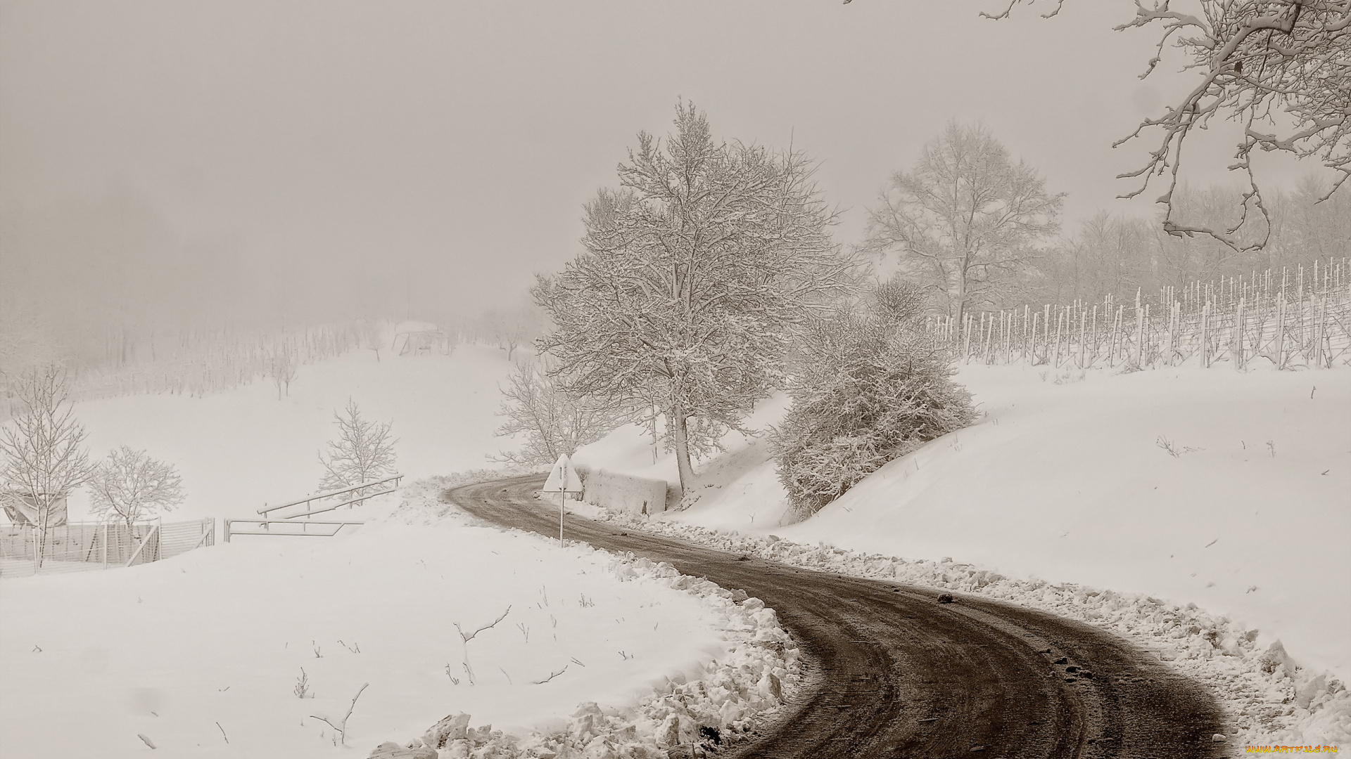 природа, зима, пейзаж, снег, дорога