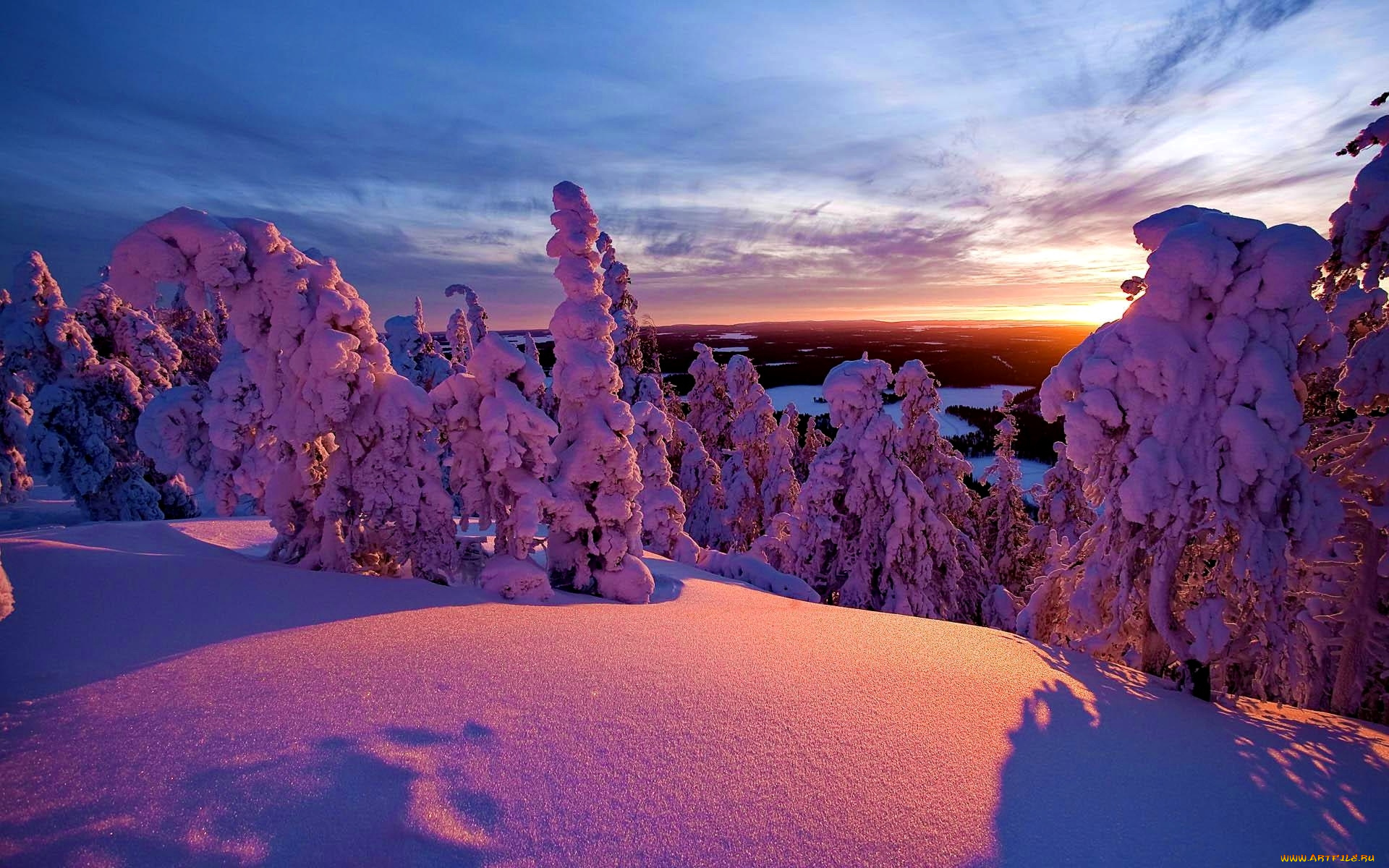 природа, зима, деревья, снег, облака