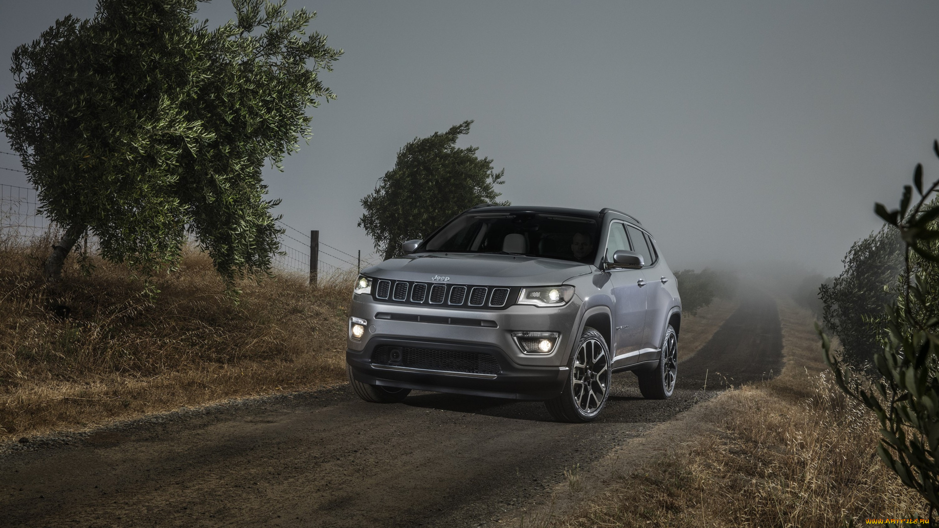 автомобили, jeep