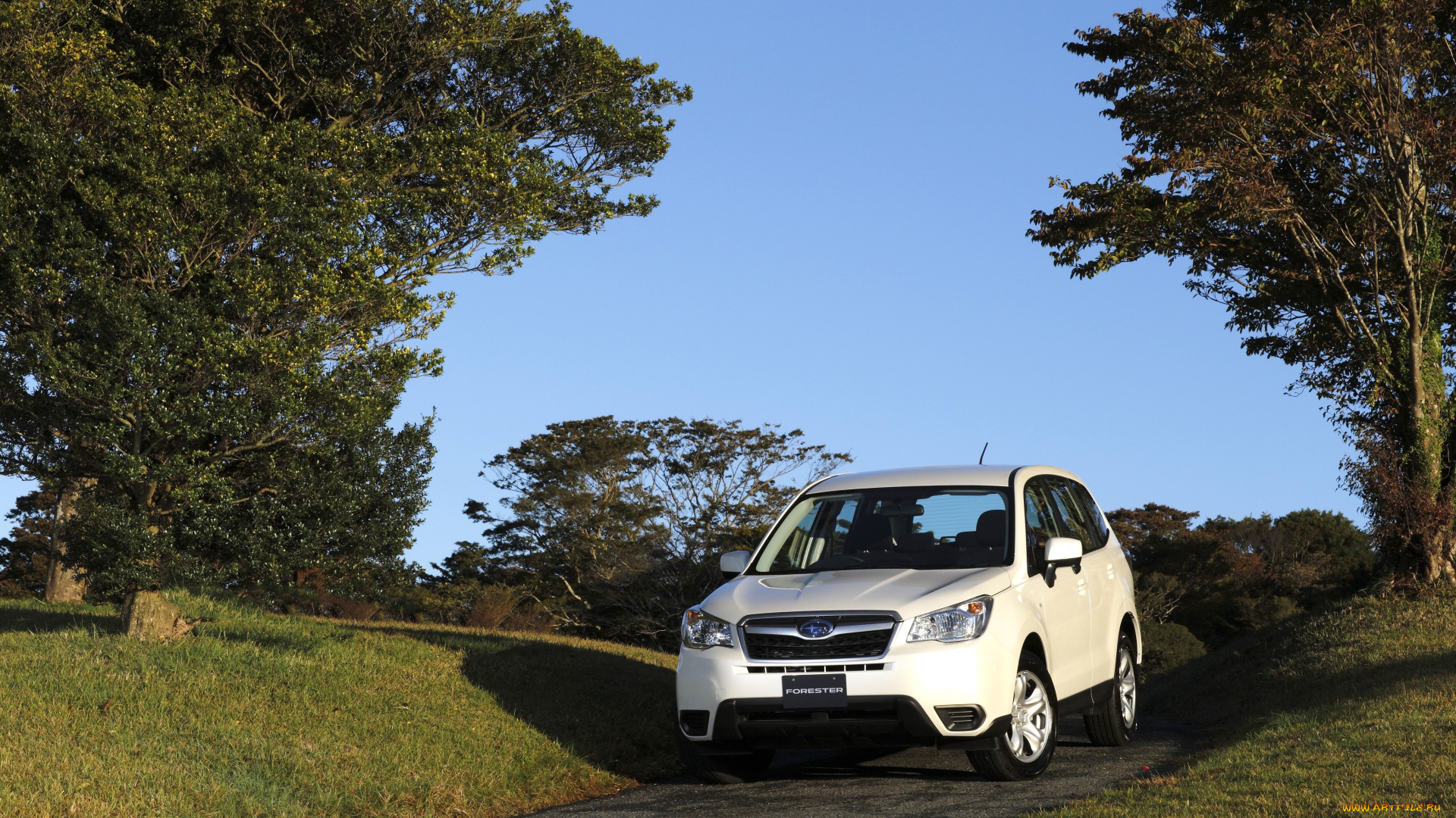 автомобили, subaru