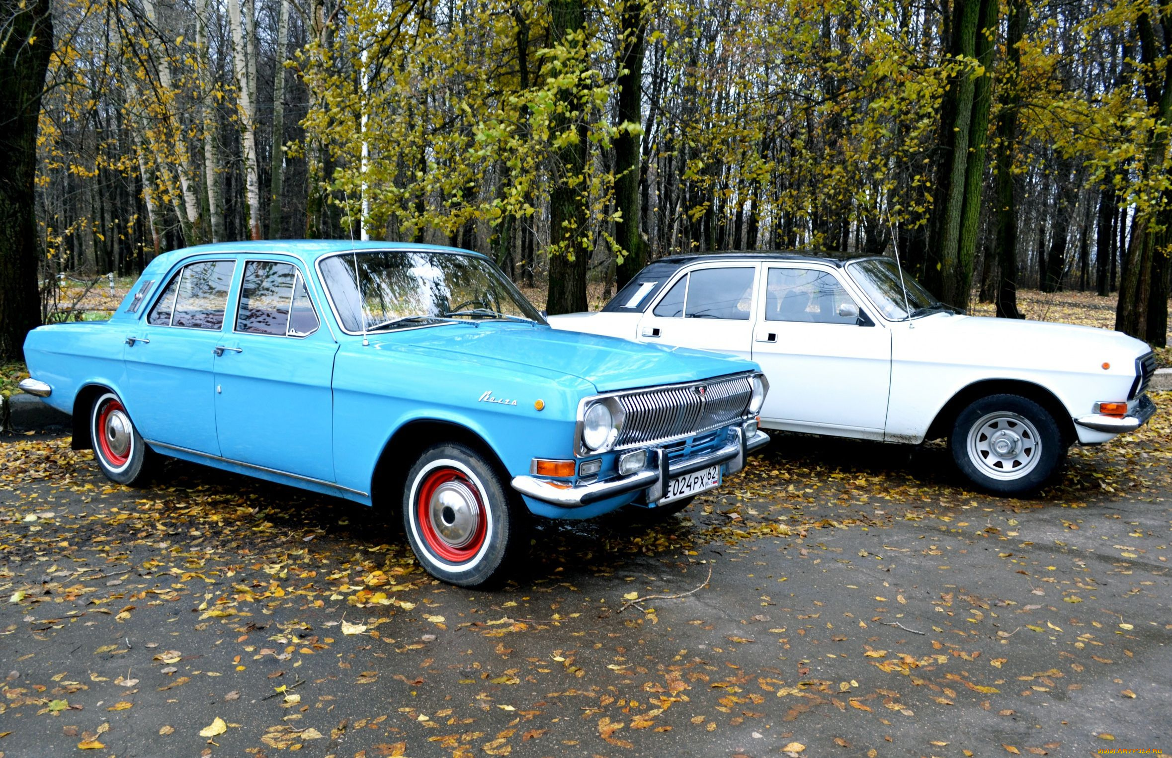 газ-, 24, автомобили, газ, волга, газ-, 24