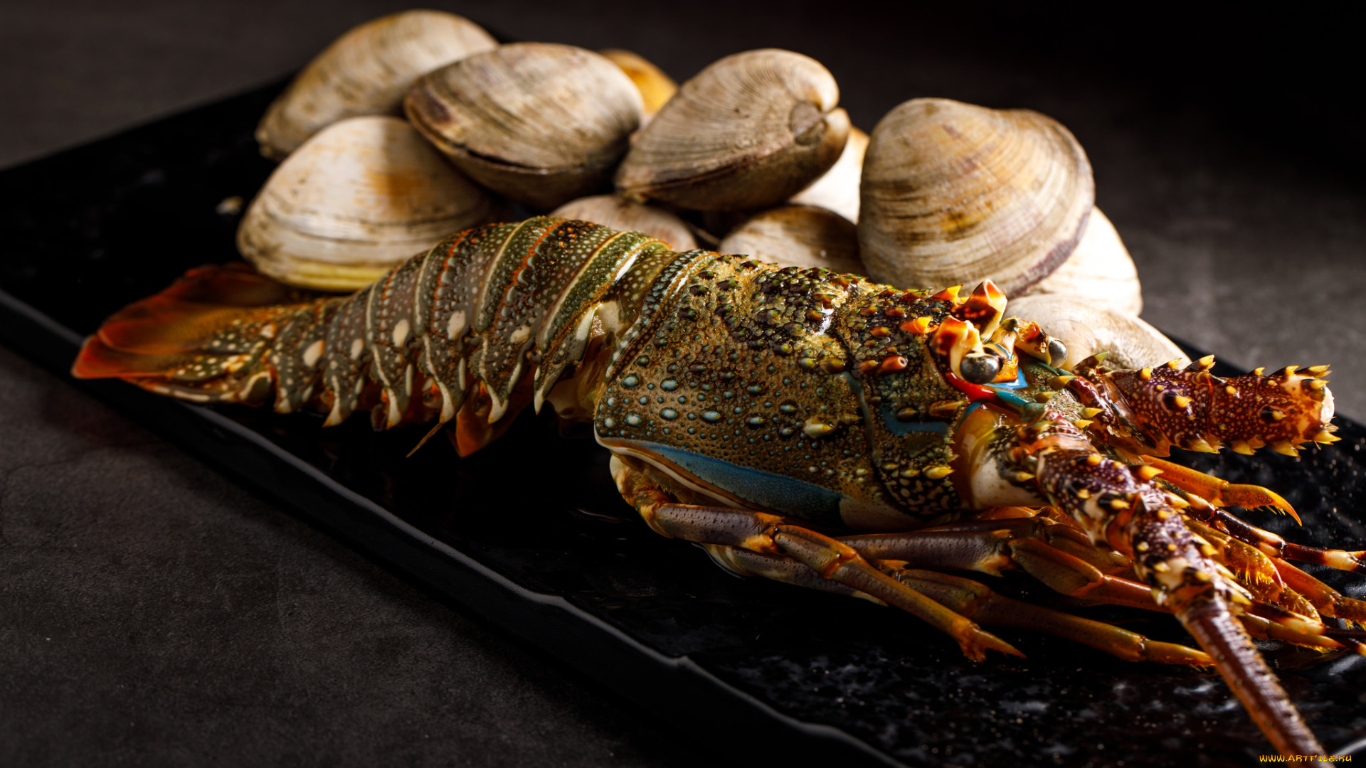 еда, рыба, , морепродукты, , суши, , роллы, снедь