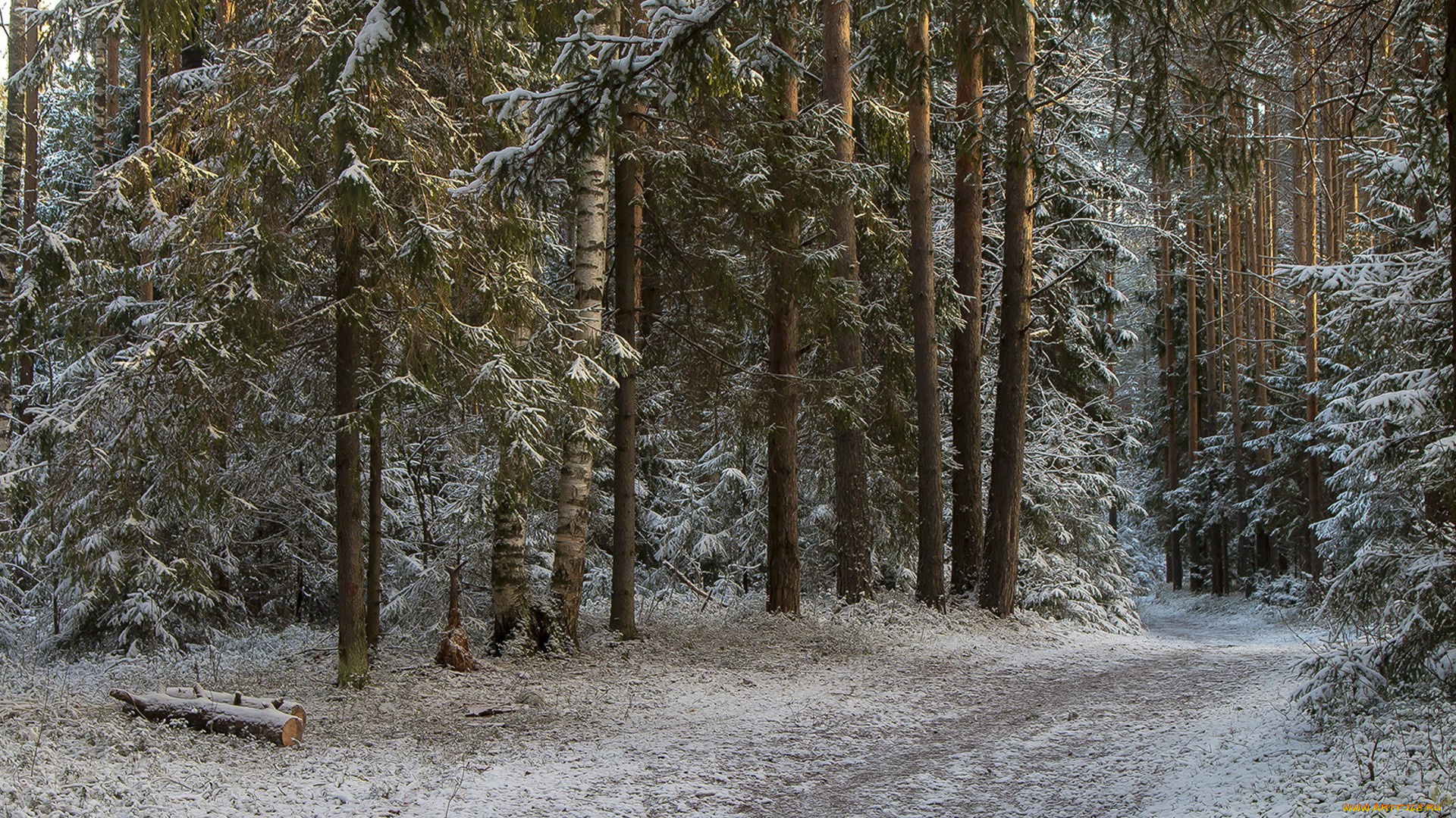 природа, дороги, простор
