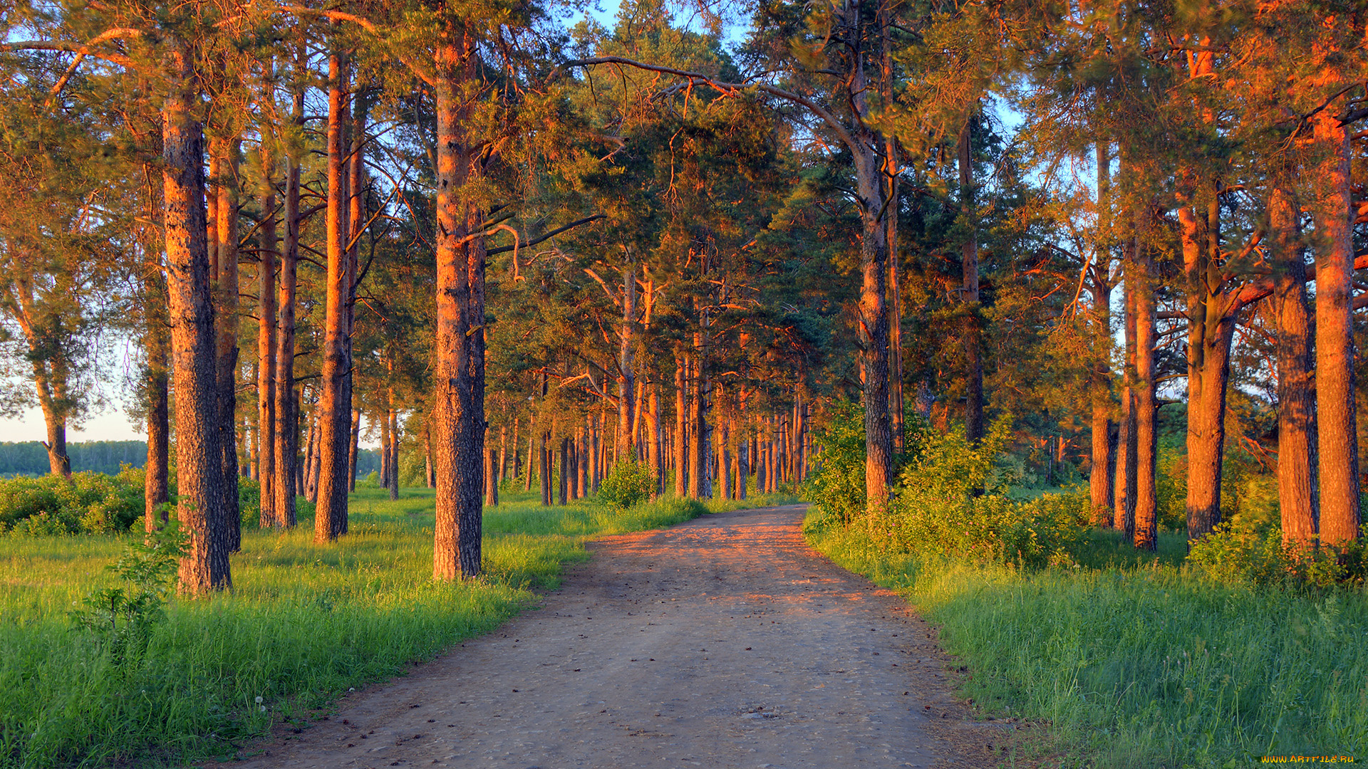 природа, дороги, простор