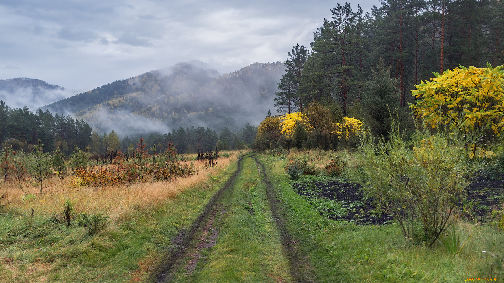 природа, дороги, простор