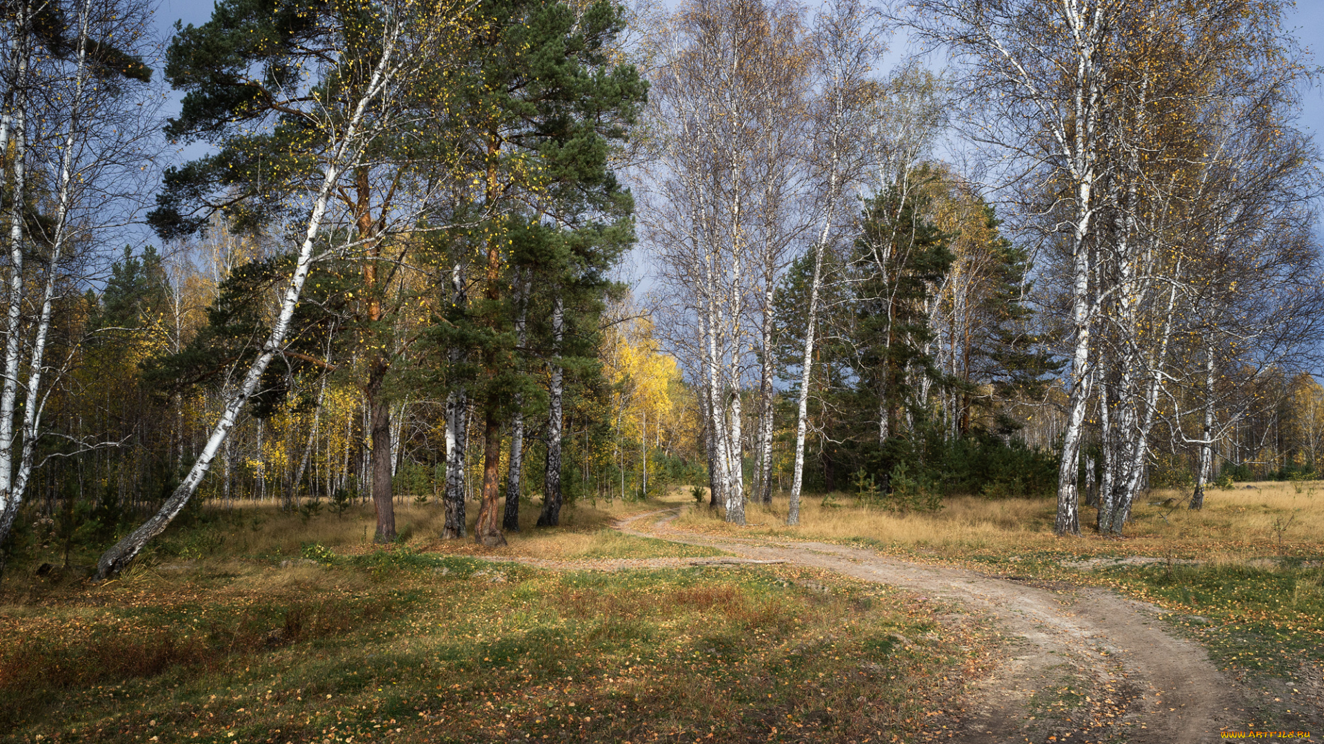 природа, дороги, простор