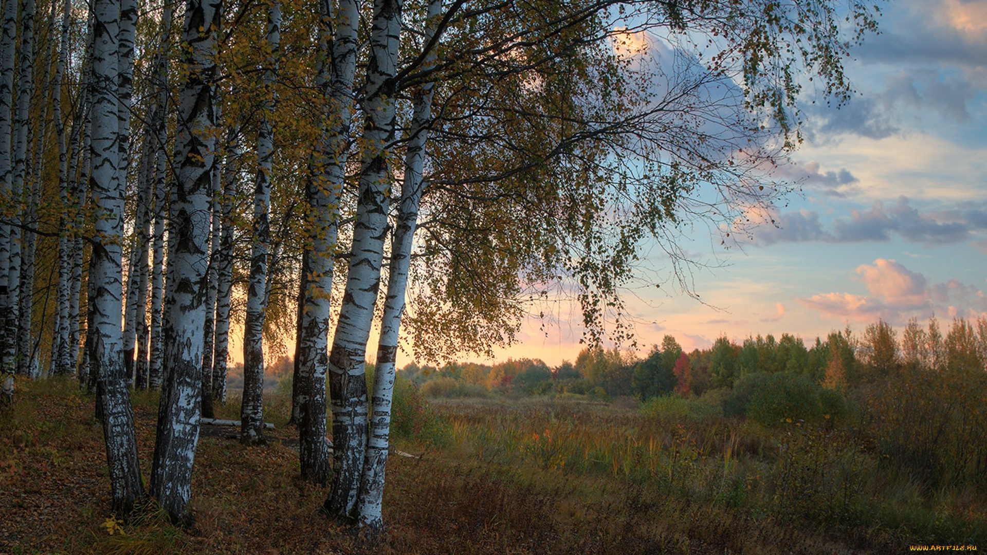 природа, пейзажи, простор