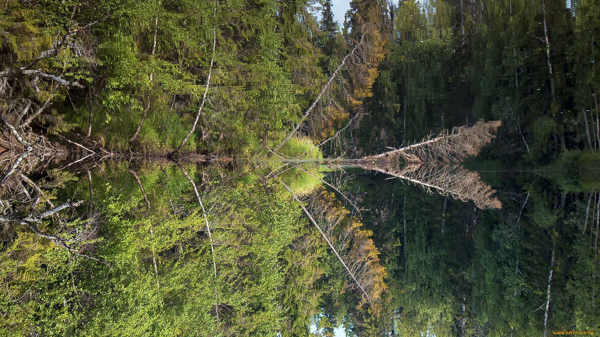 природа, реки, озера, простор