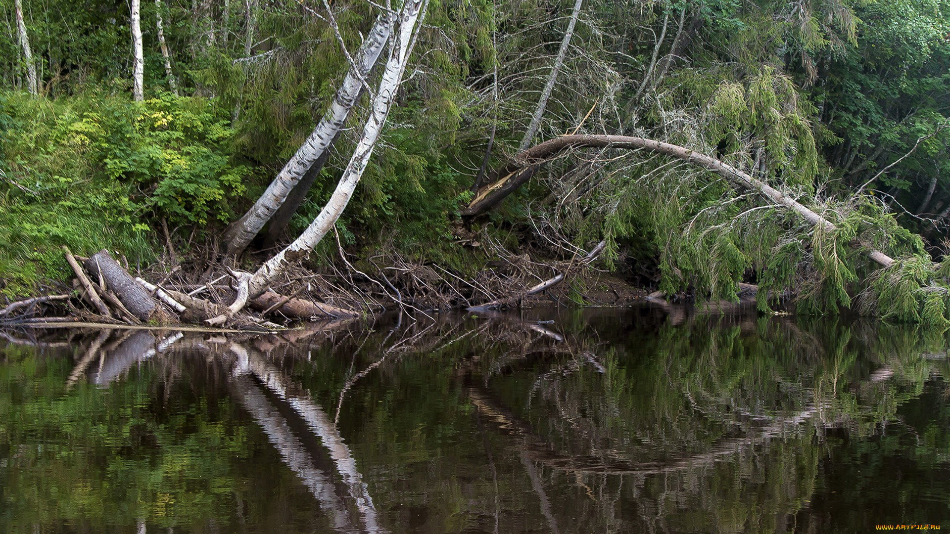 природа, реки, озера, простор