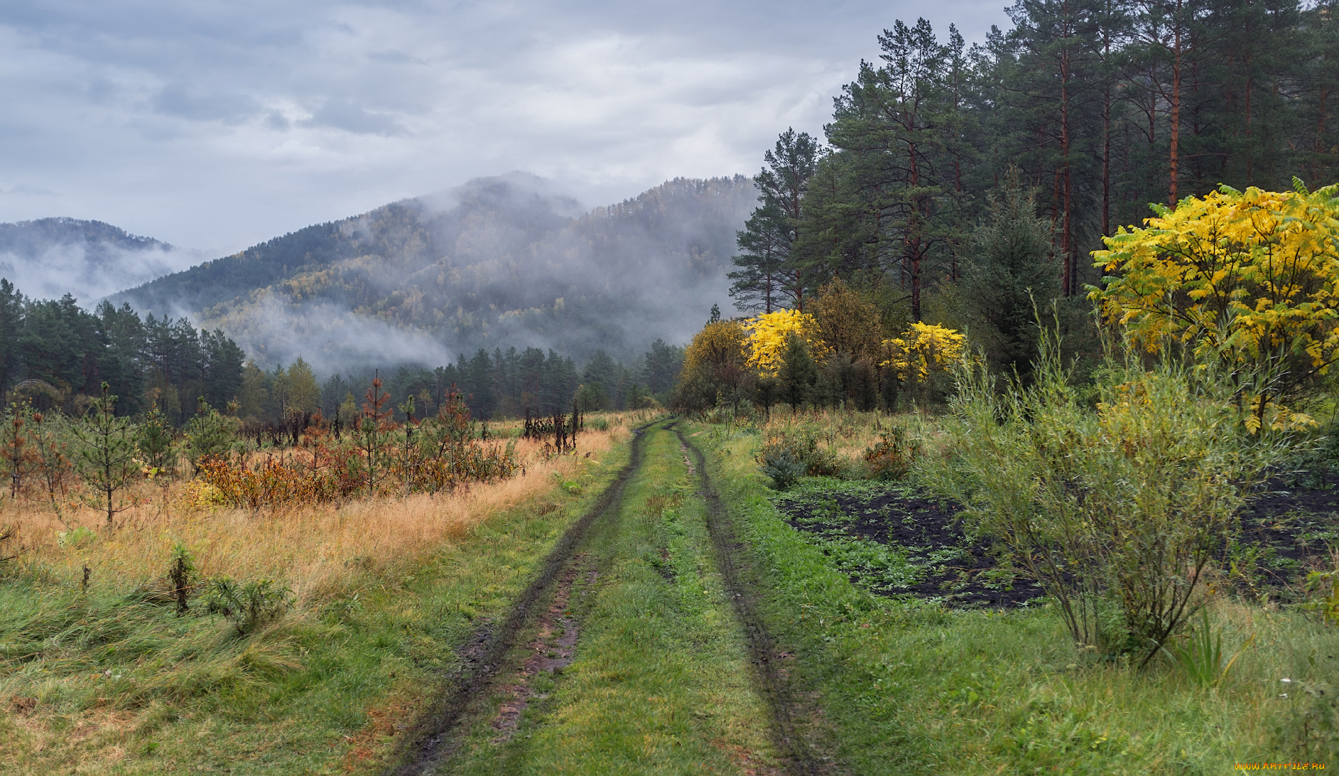 природа, дороги, простор