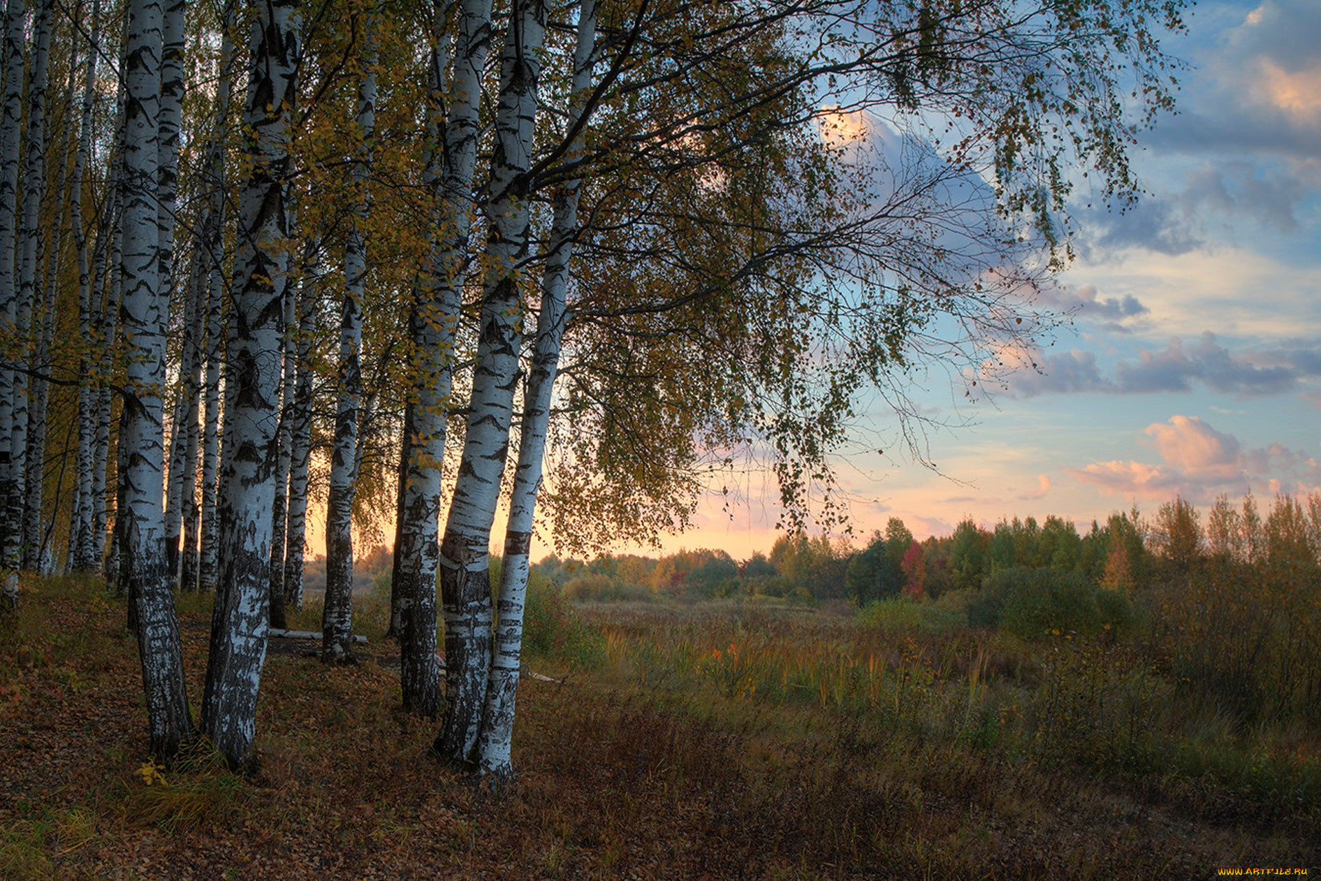 природа, пейзажи, простор
