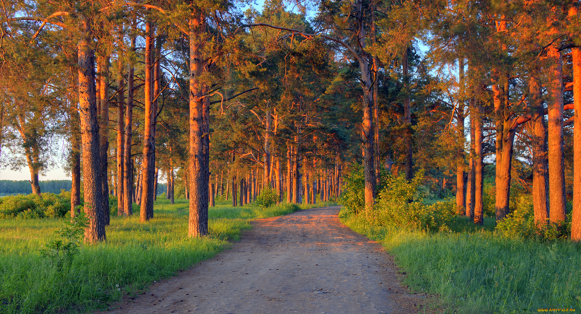 природа, дороги, простор