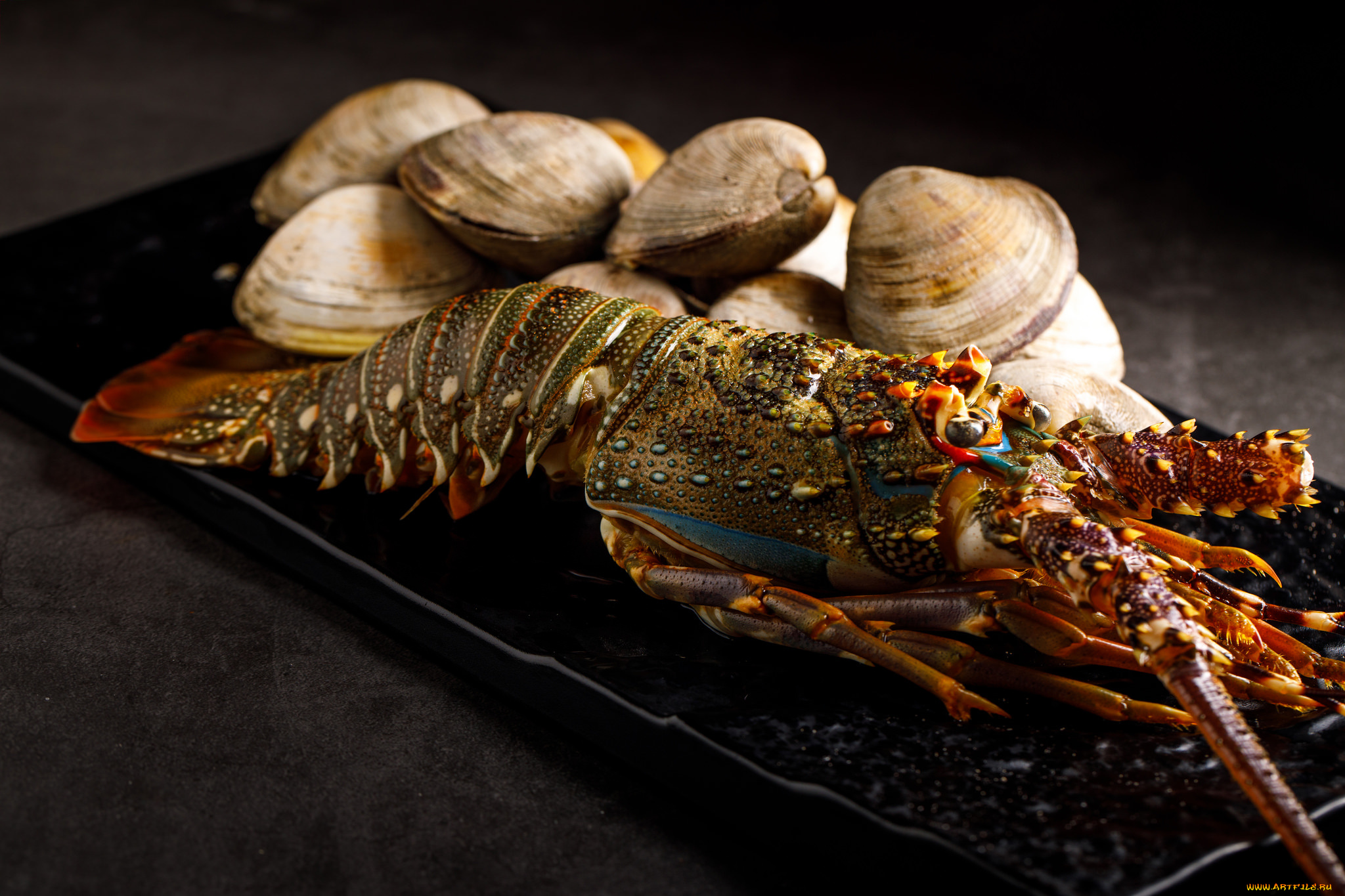 еда, рыба, , морепродукты, , суши, , роллы, снедь