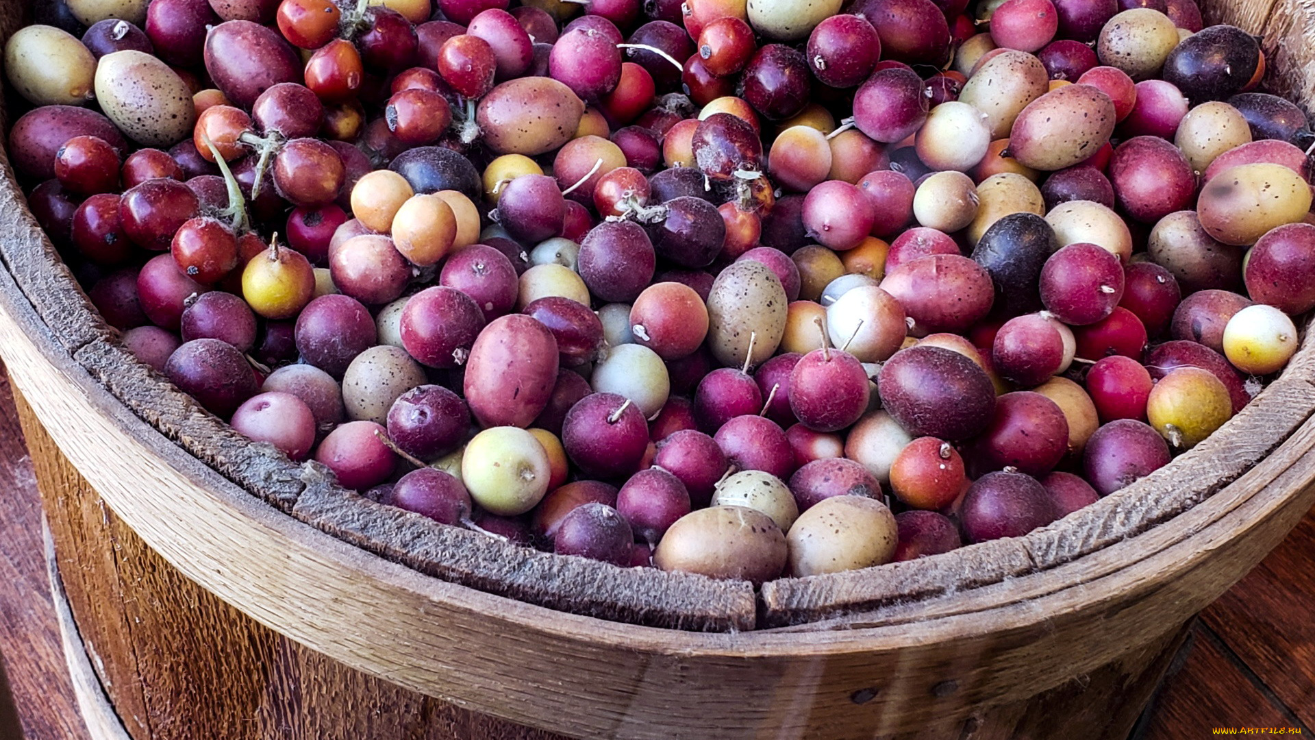 еда, кофе, , кофейные, зёрна