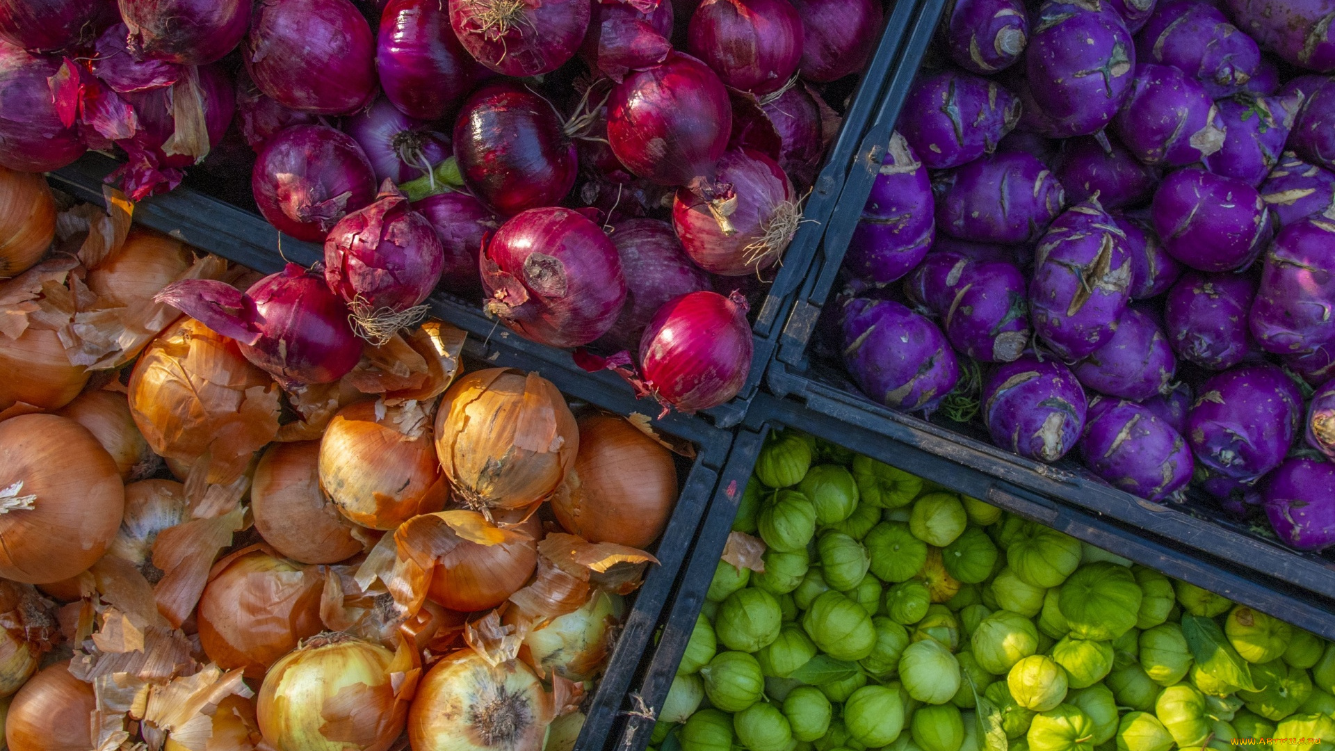 еда, овощи, кольраби, лук