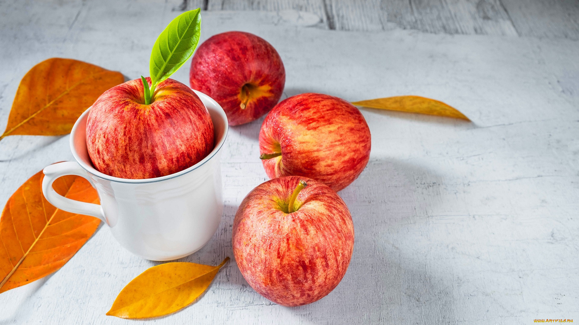 еда, яблоки, листья, чашка