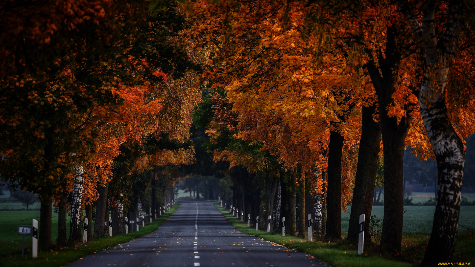 природа, дороги, разметка, шоссе, дорога