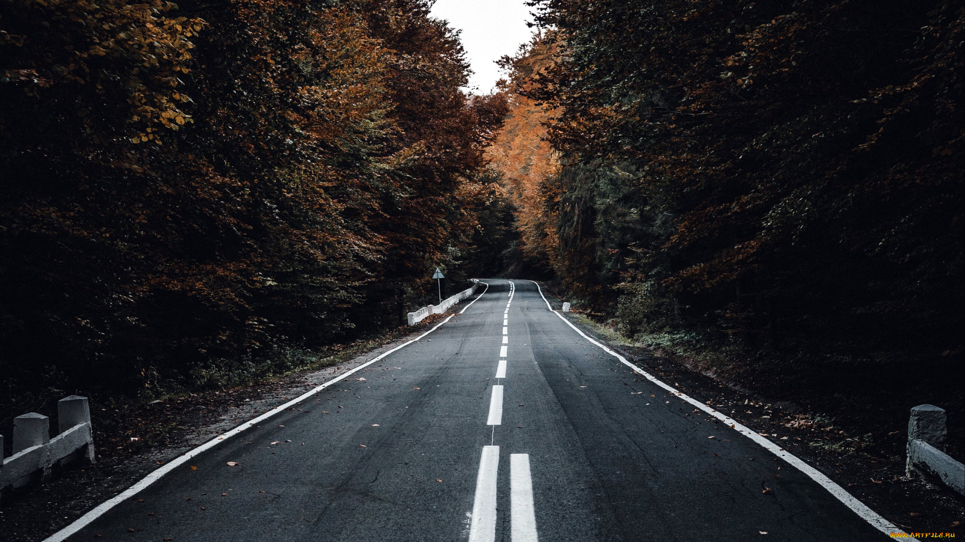 природа, дороги, разметка, шоссе, дорога