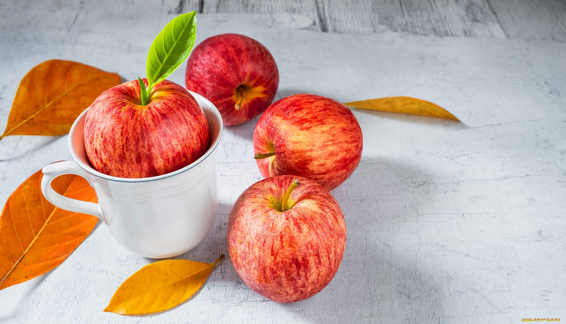 еда, яблоки, листья, чашка