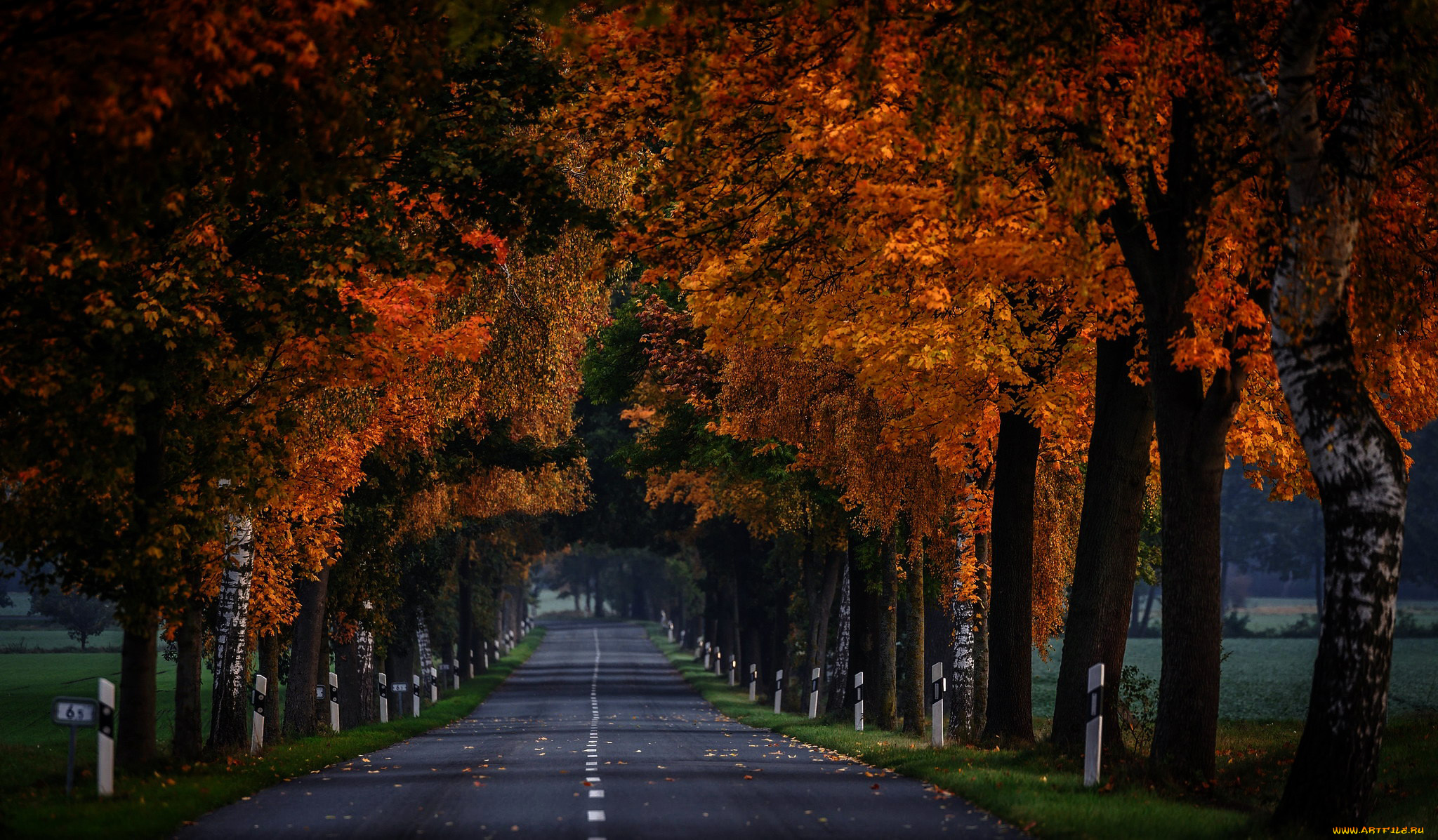 природа, дороги, разметка, шоссе, дорога