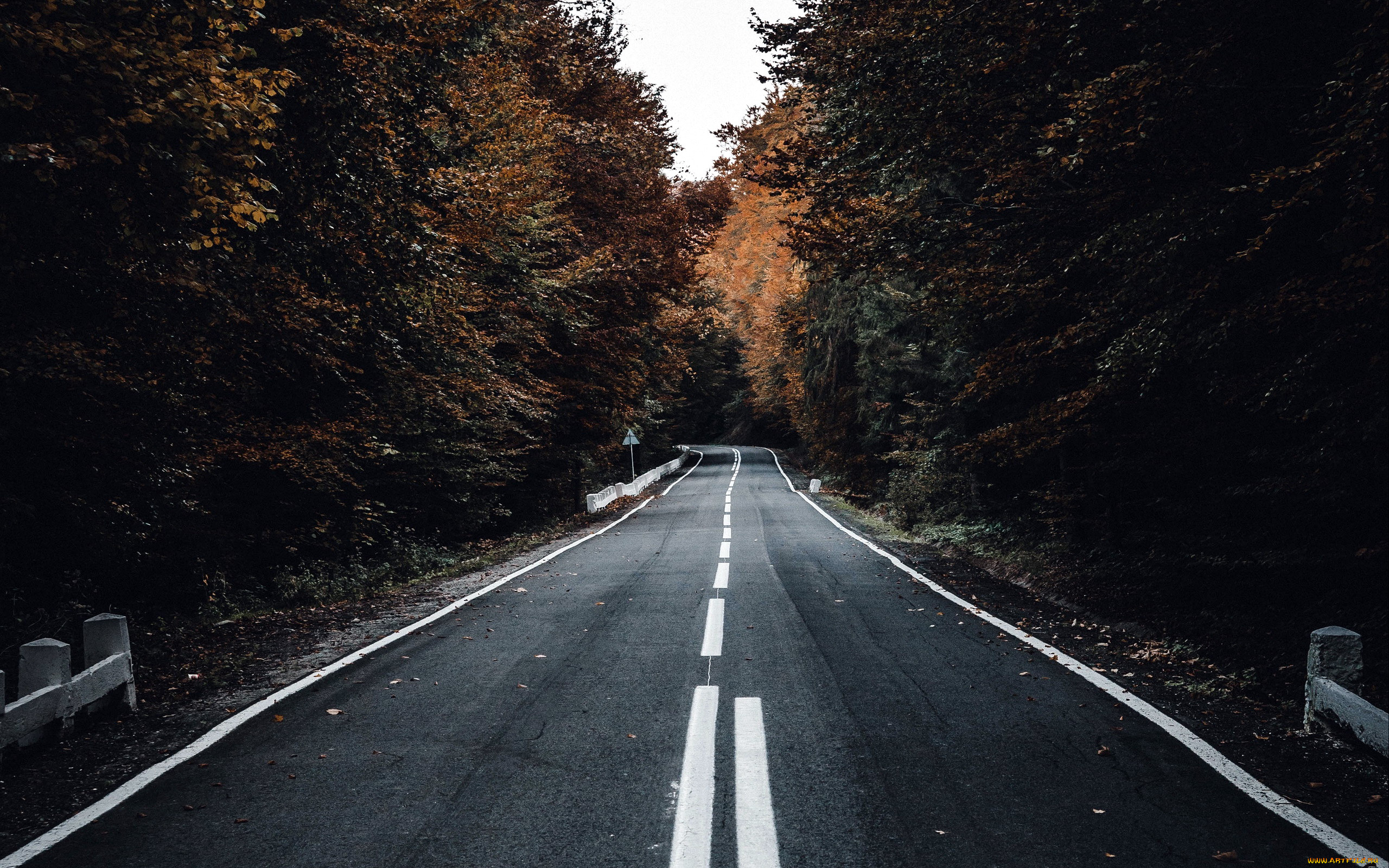 природа, дороги, разметка, шоссе, дорога