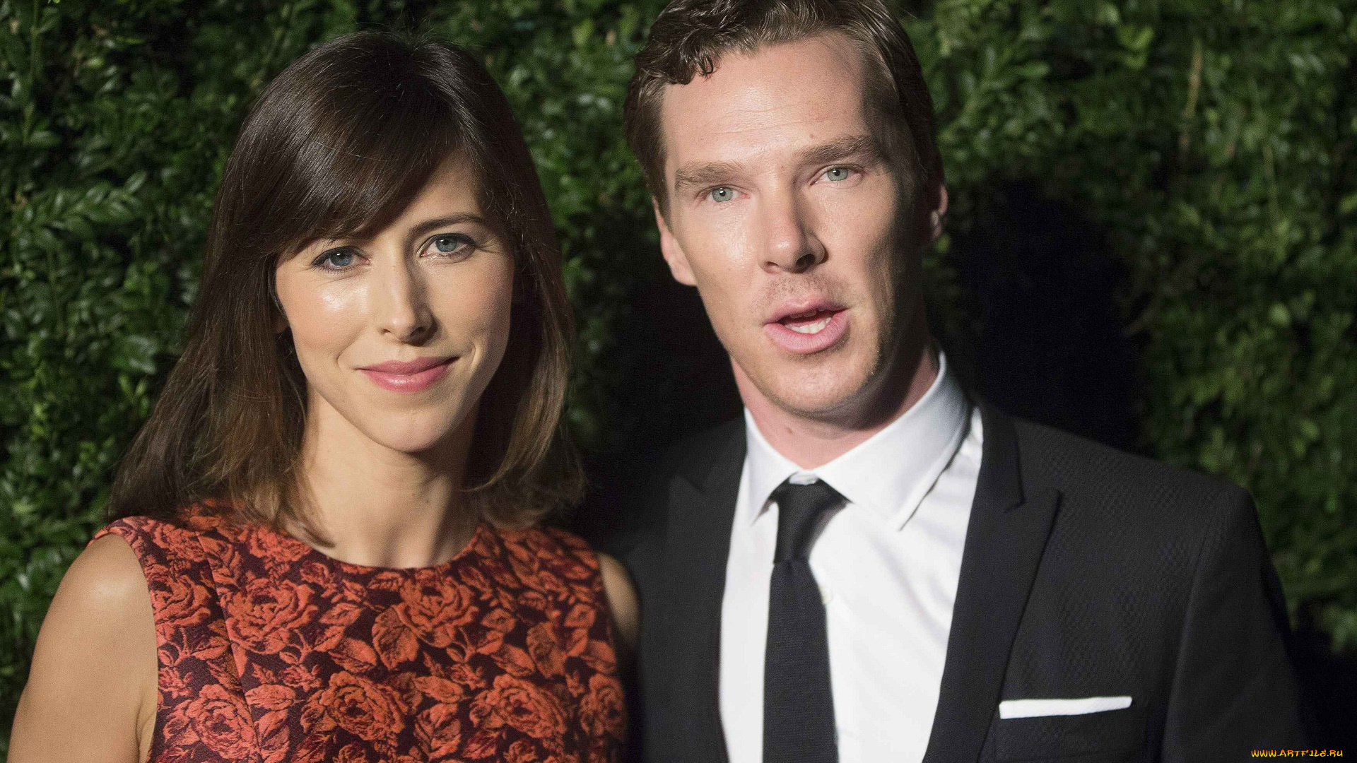 разное, знаменитости, бенедикт, камбербэтч, супруги, тимоти, карлтон, софи, хантер