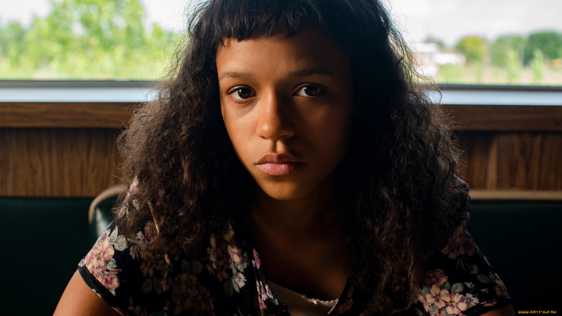 bones, and, all, ||, 2022, кино, фильмы, bones, and, all, целиком, и, полностью, ужасы, драма, мелодрама, тейлор, расселл