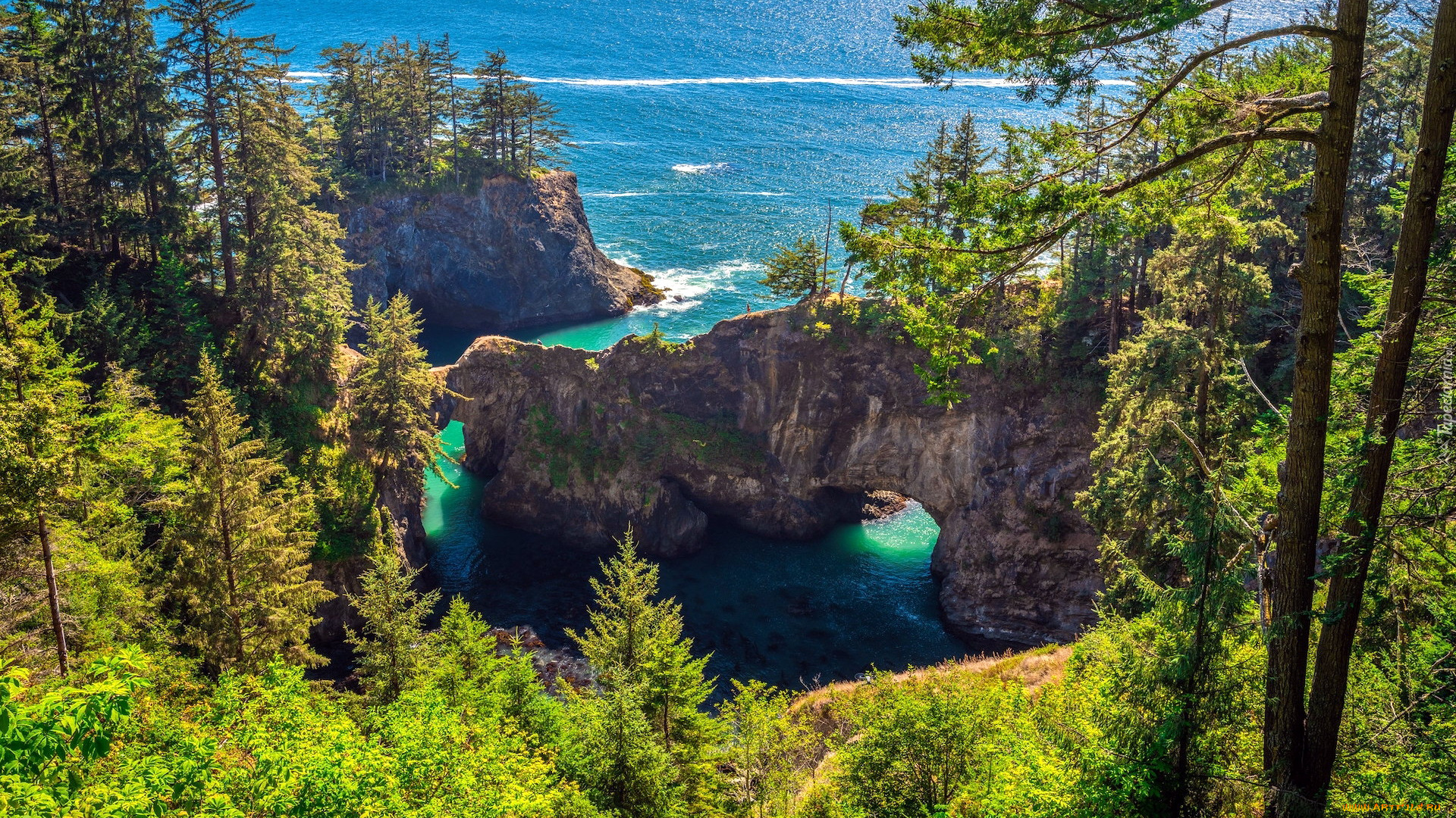 brookings, natural, bridges, viewpoint, oregon, природа, побережье, natural, bridges, viewpoint