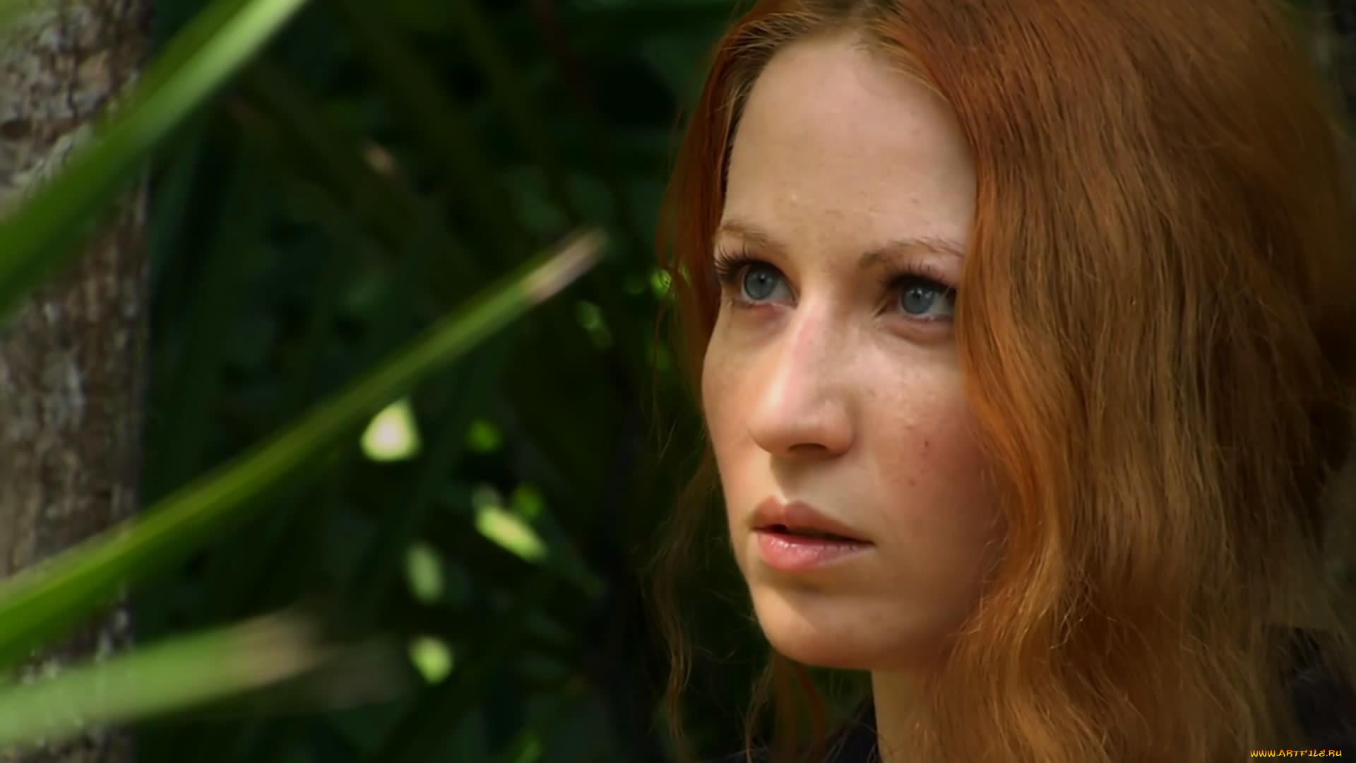 legend, of, the, red, reaper, кино, фильмы, legend, of, the, red, reaper