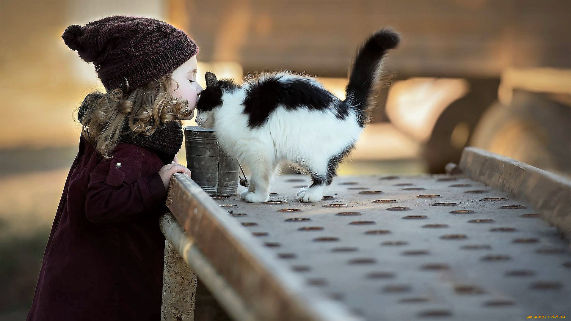 разное, дети, девочка, шапка, кошка, ведерко