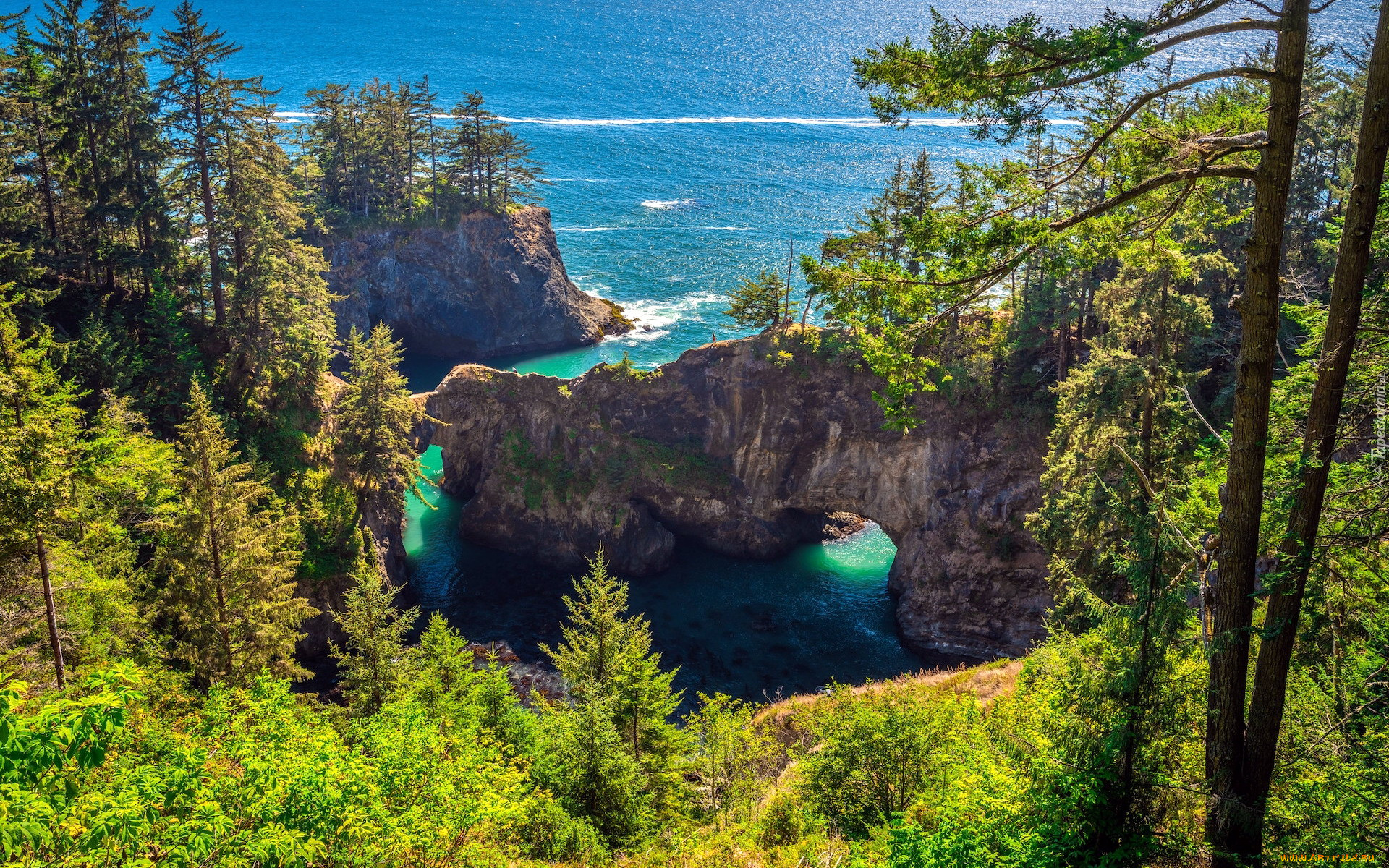 brookings, natural, bridges, viewpoint, oregon, природа, побережье, natural, bridges, viewpoint