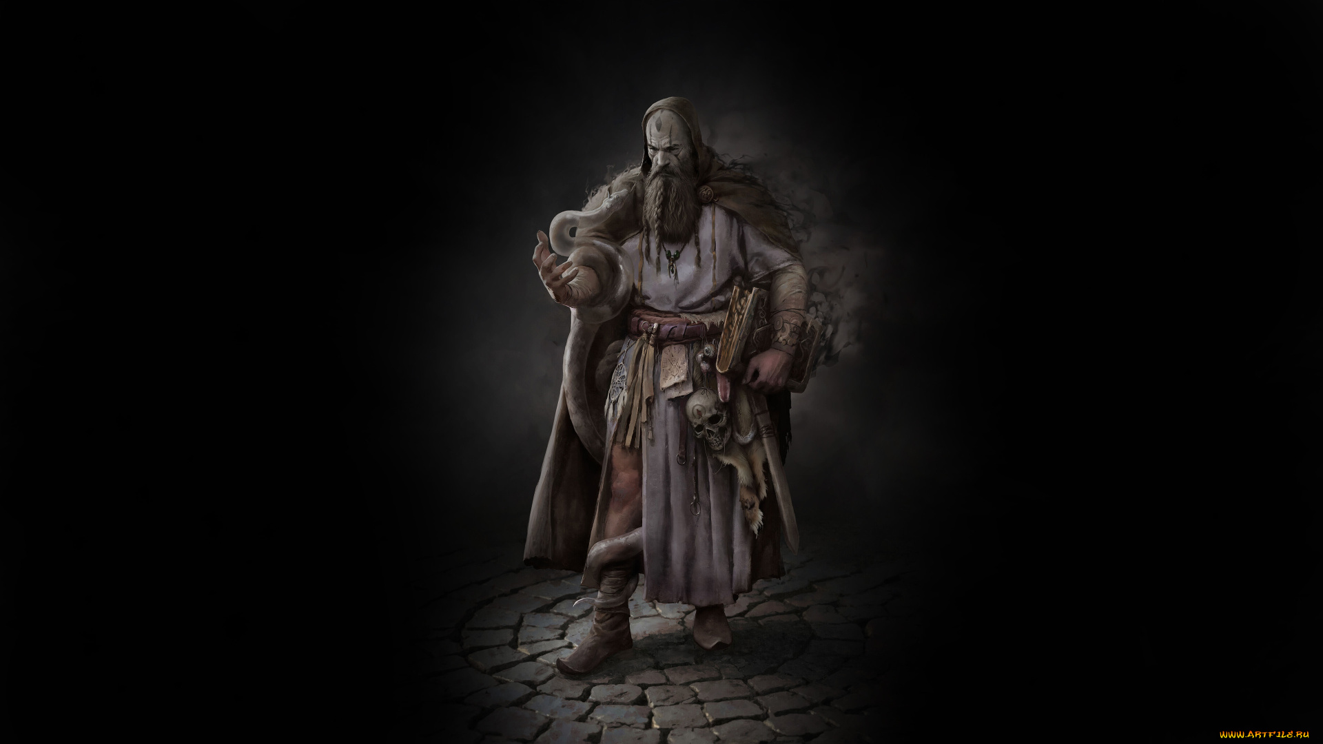 фэнтези, маги, , волшебники, маг, книга, борода