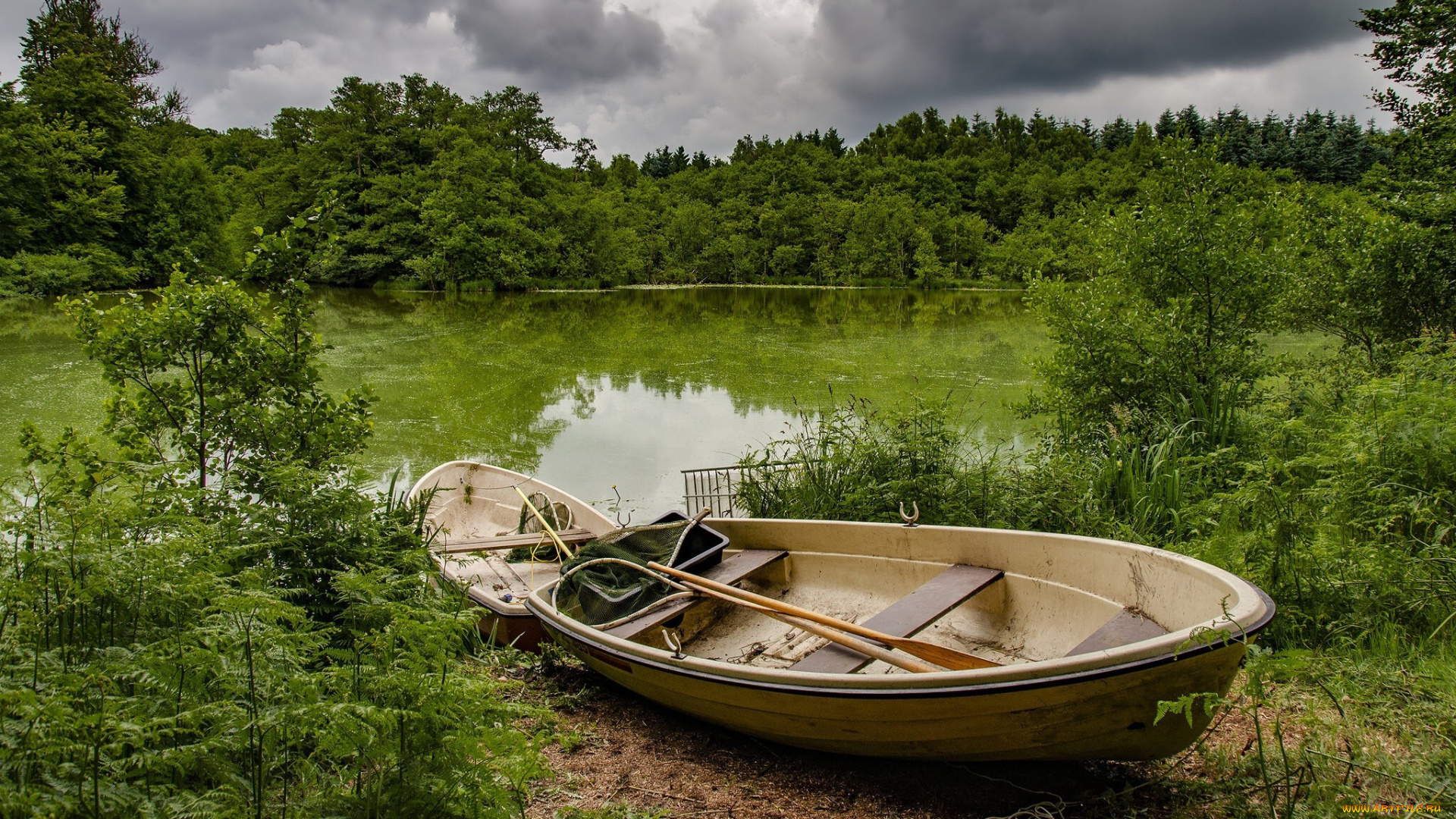 корабли, лодки, , шлюпки, лето, озеро, зелень